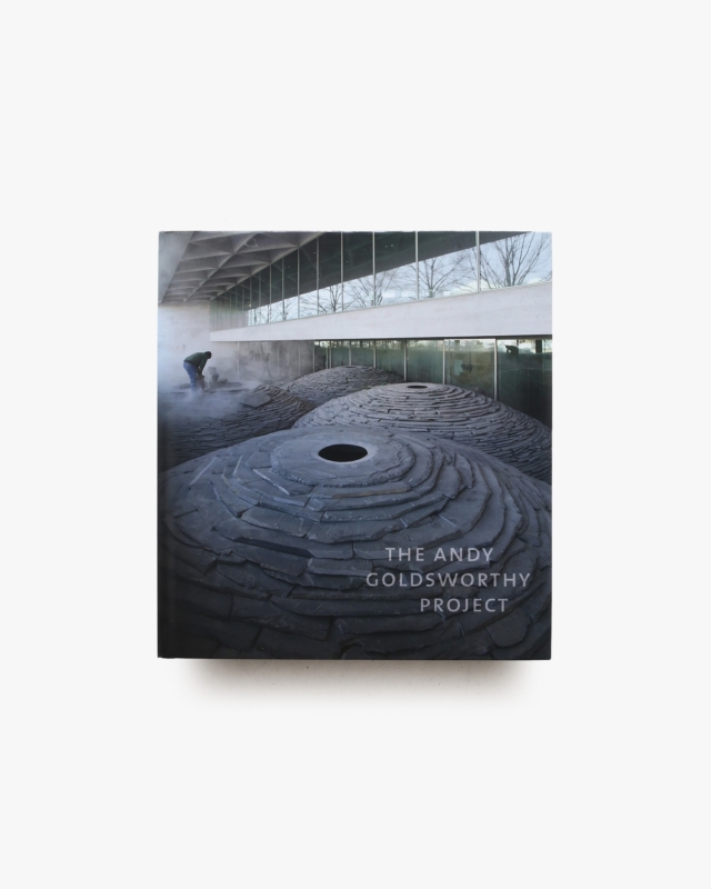 The Andy Goldsworthy Project