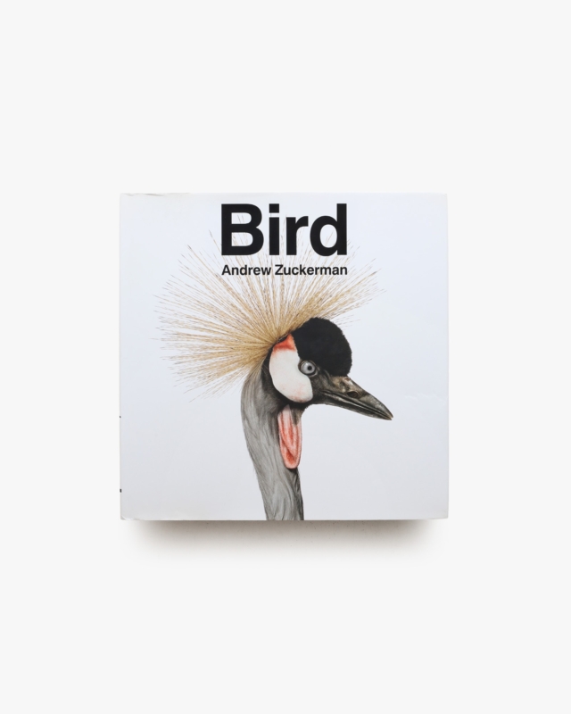 Bird | Andrew Zuckerman