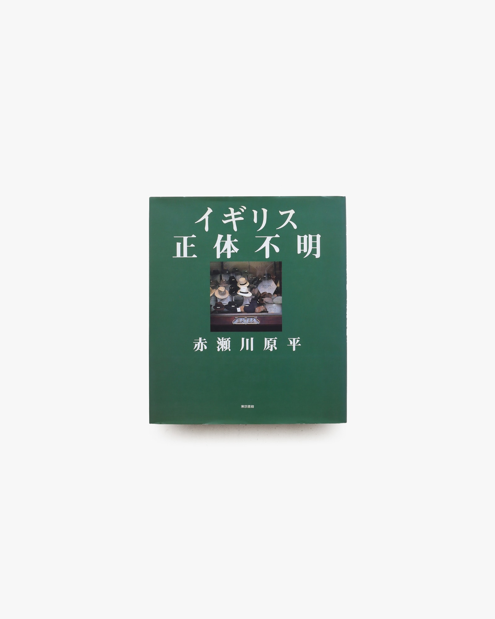 Genpei Akasegawa: Art and Photography Book