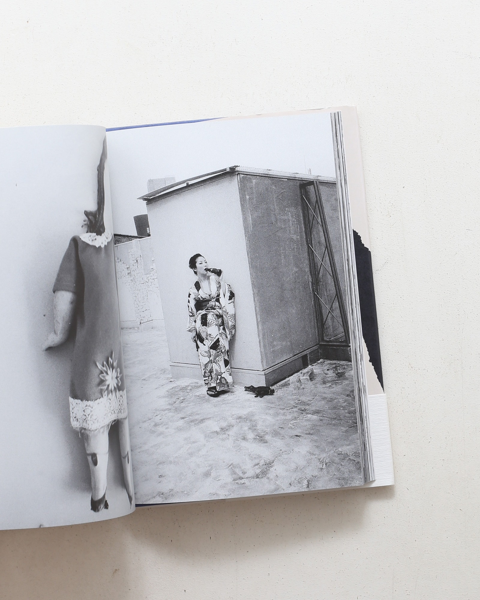 死小説 | 荒木経惟