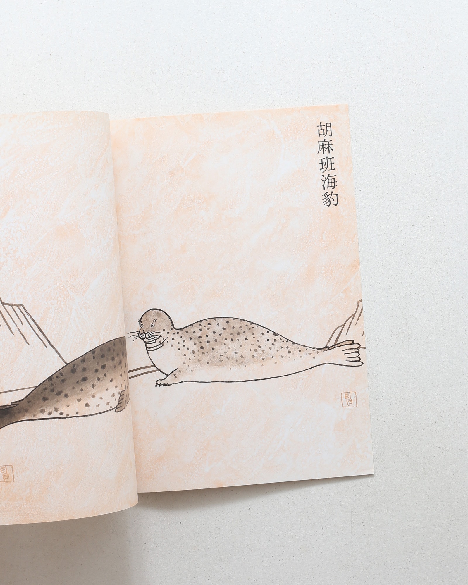 鳥獣魚画 | 矢吹申彦