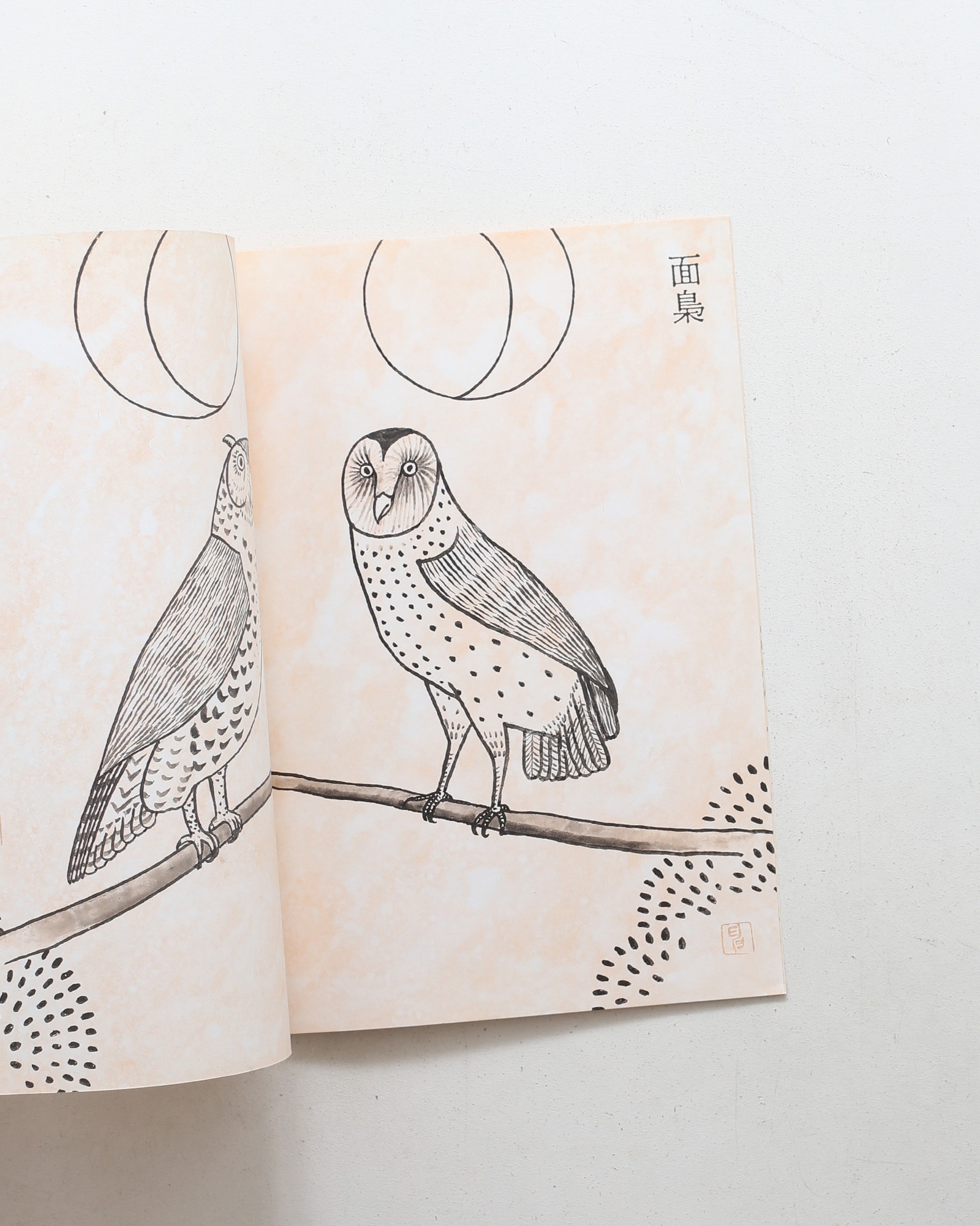 鳥獣魚画 | 矢吹申彦