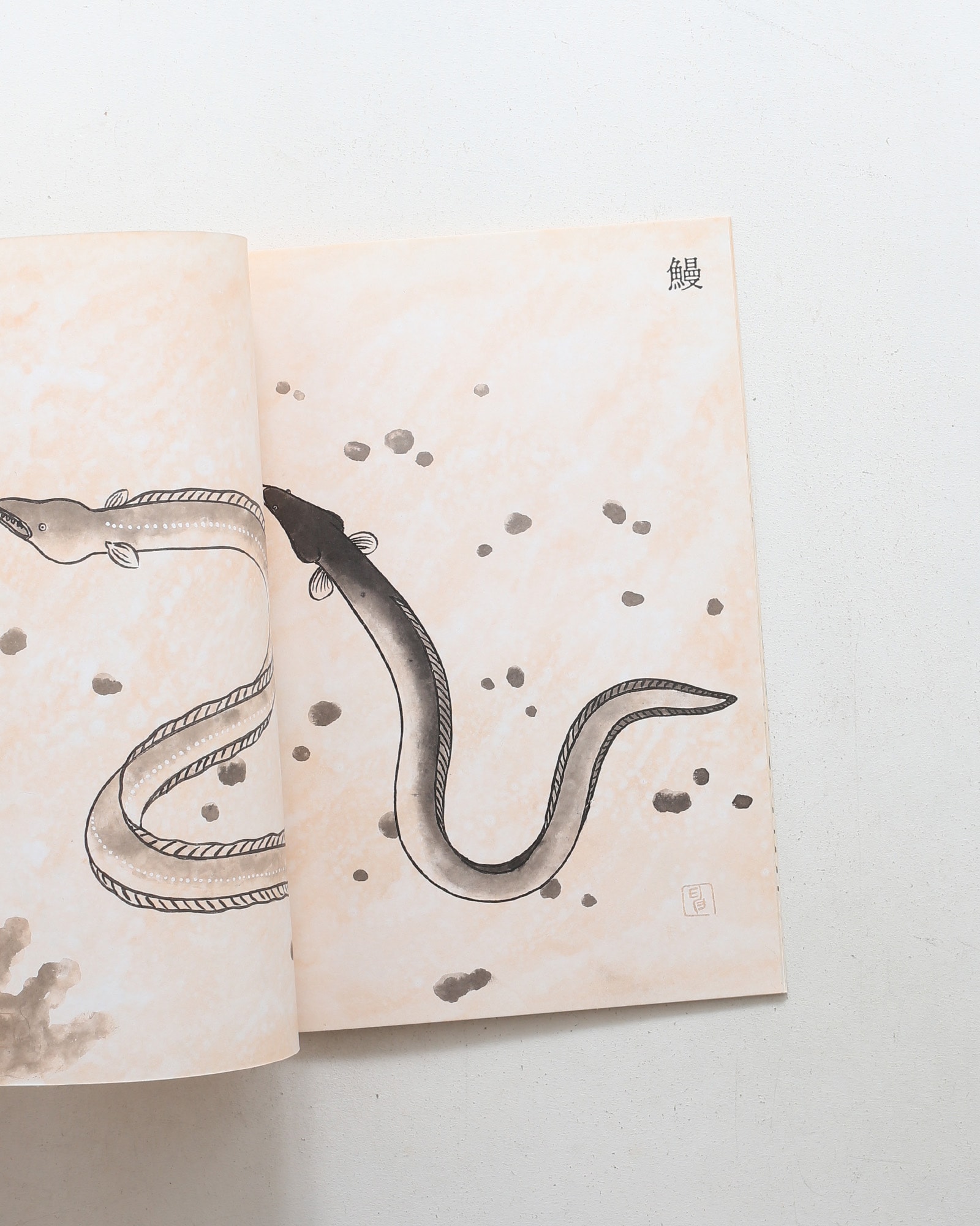 鳥獣魚画 | 矢吹申彦