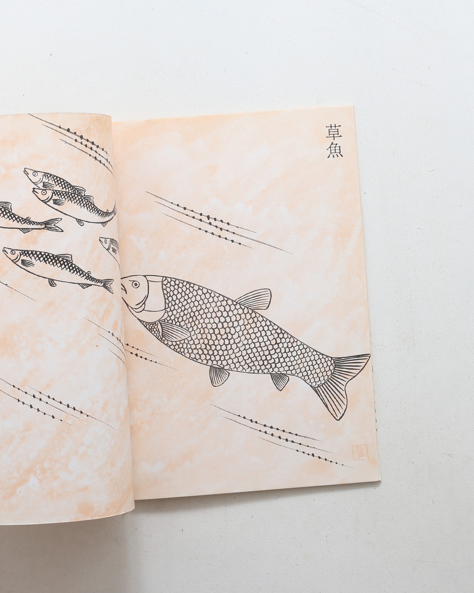 鳥獣魚画 | 矢吹申彦