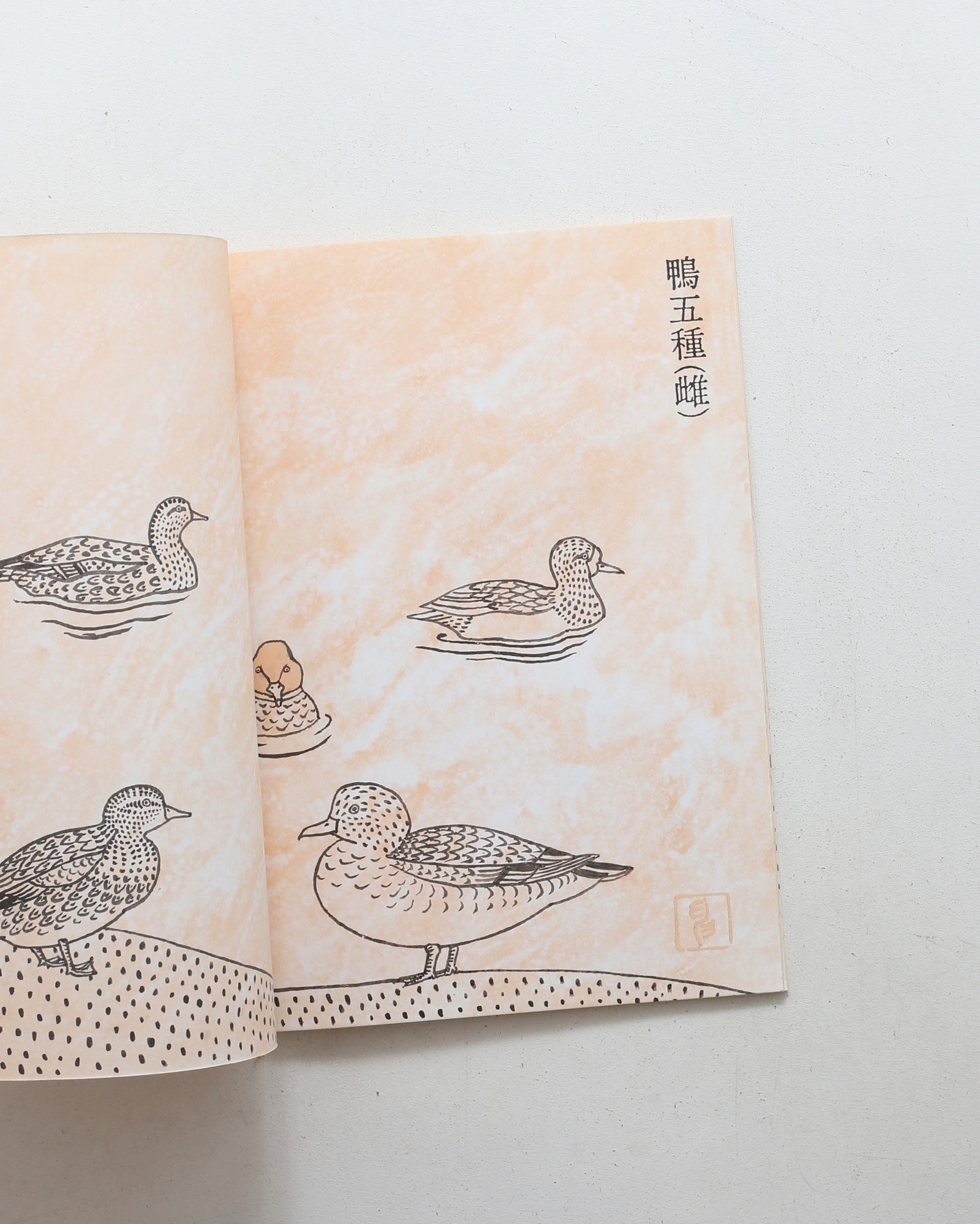 鳥獣魚画 | 矢吹申彦
