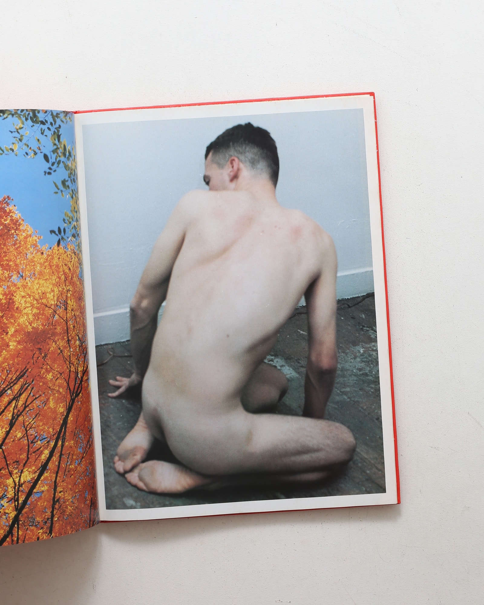 Wolfgang Tillmans: Portikus Frankfurt