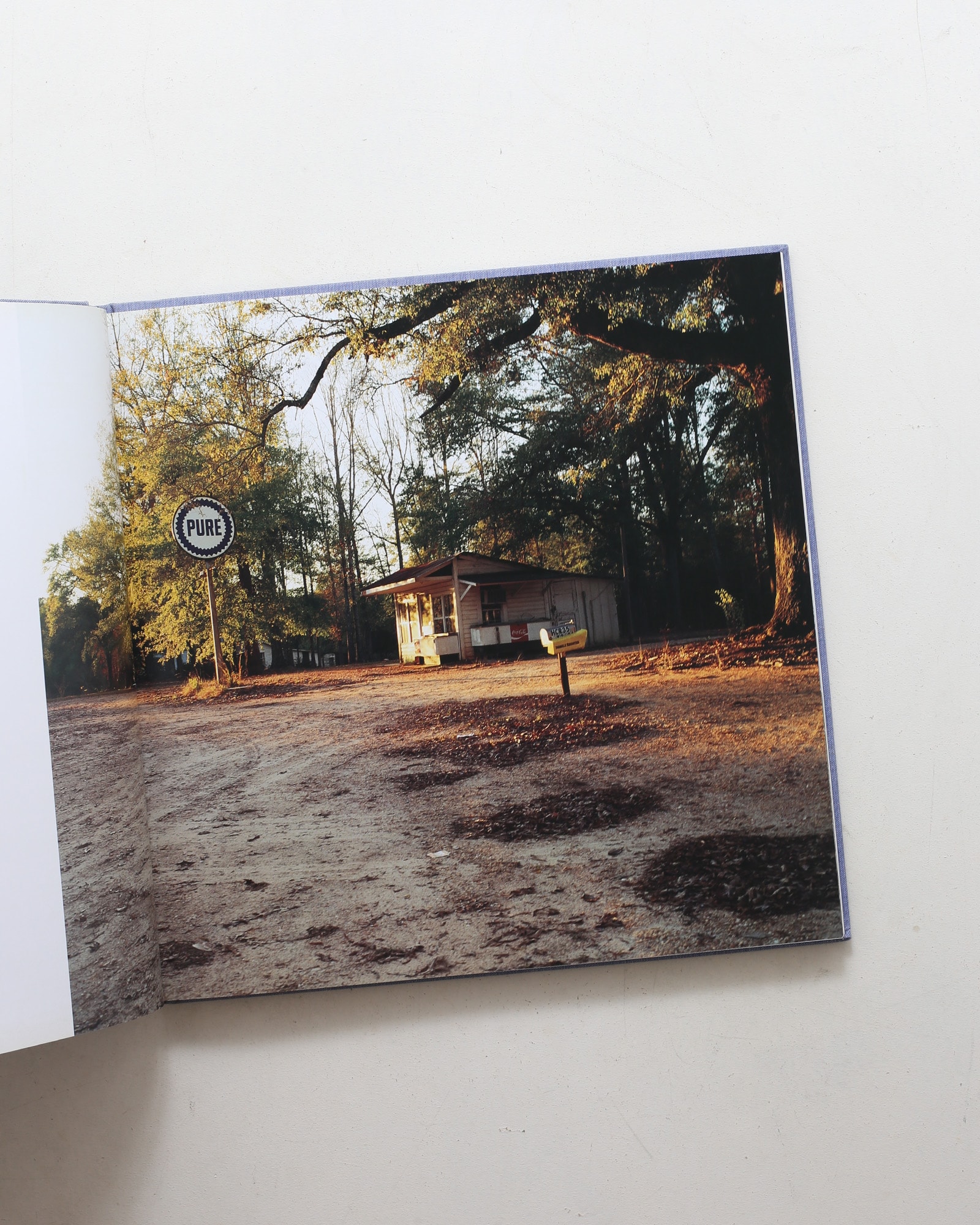 1999／In and Around Home | Catherine Opie