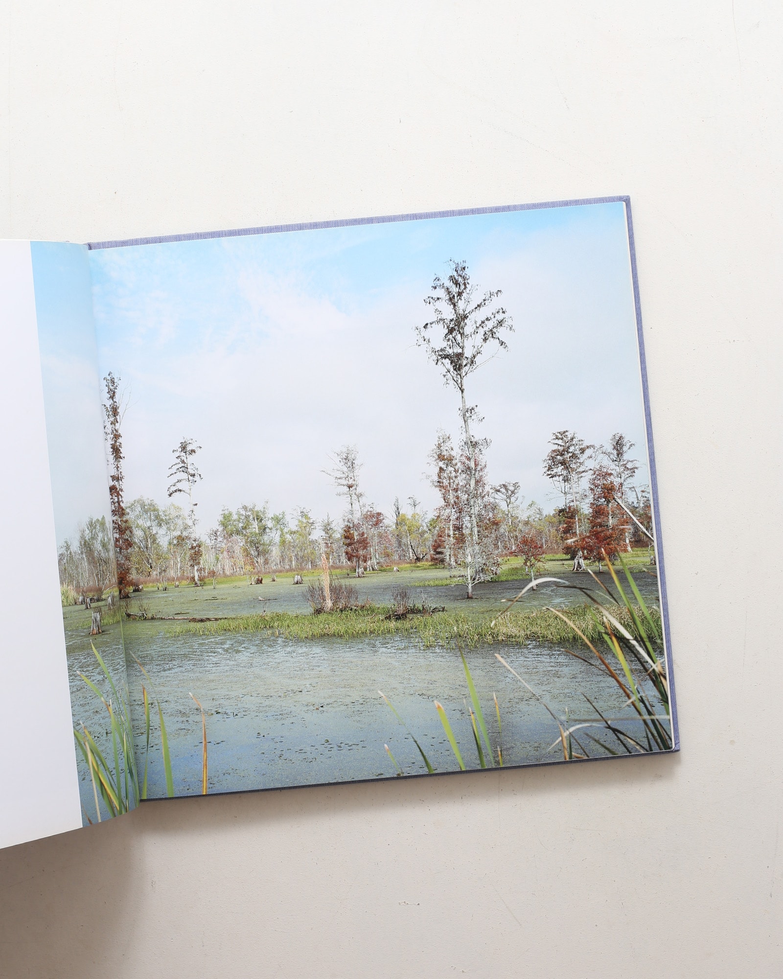 1999／In and Around Home | Catherine Opie