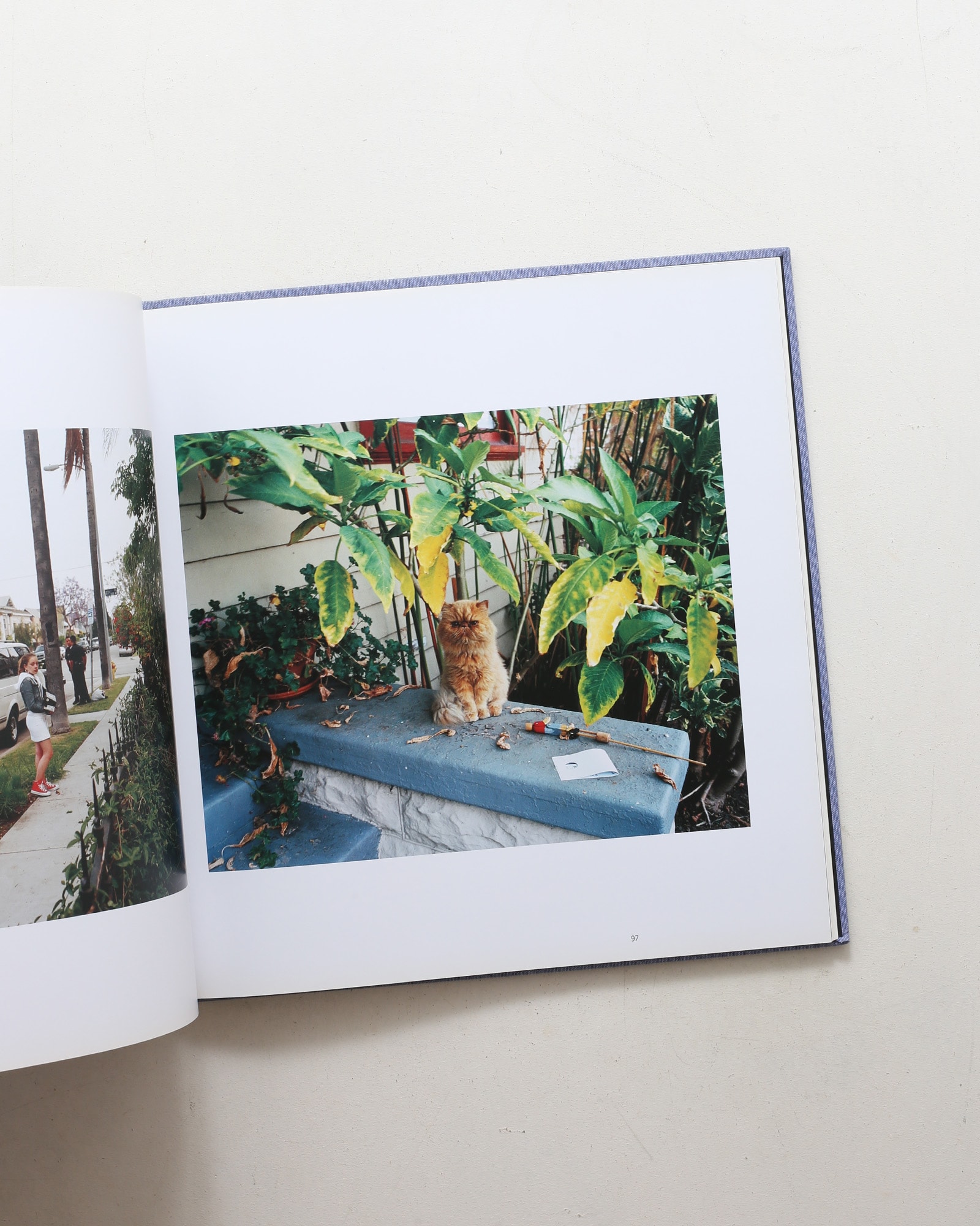 1999／In and Around Home | Catherine Opie