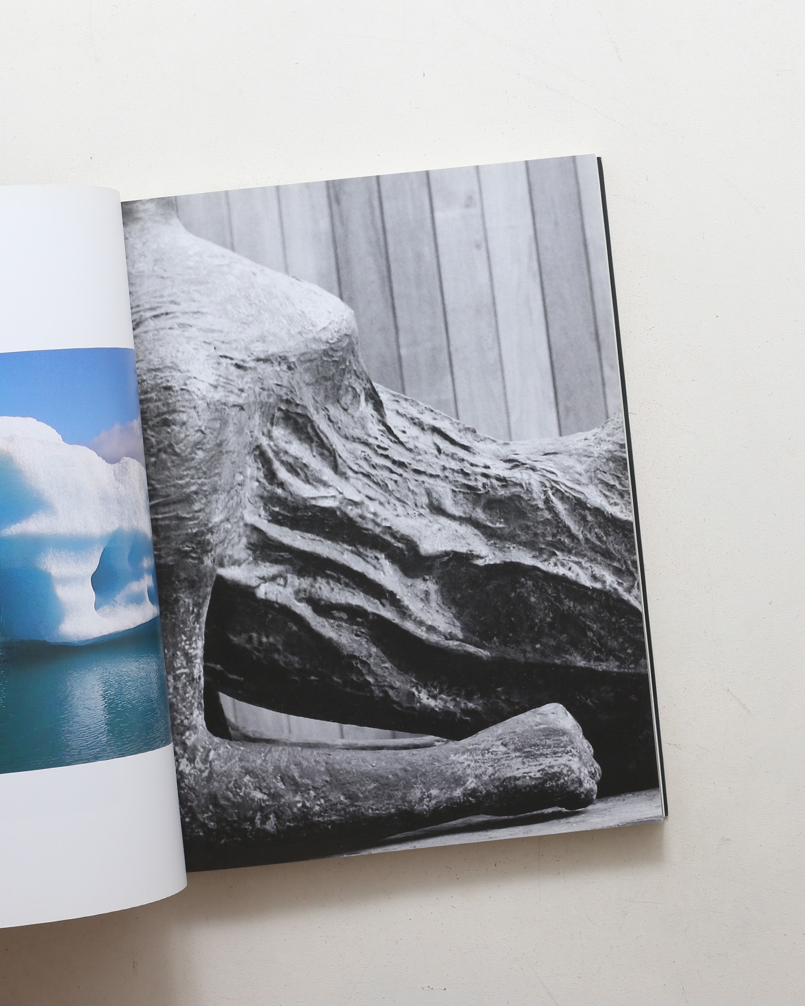 Henry Moore: A Monumental Vision