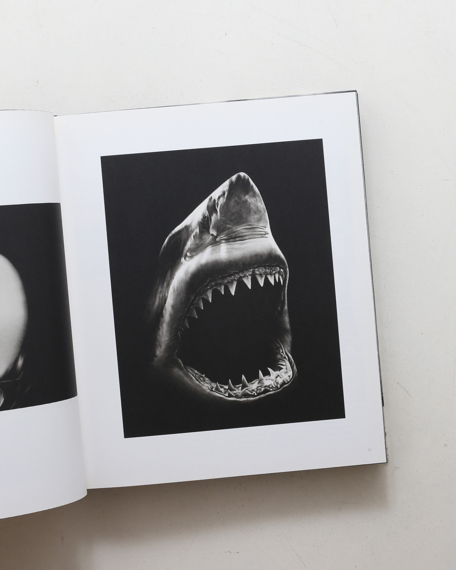 Charcoal | Robert Longo