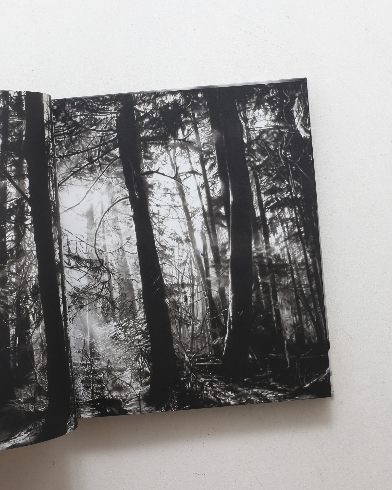 Charcoal | Robert Longo