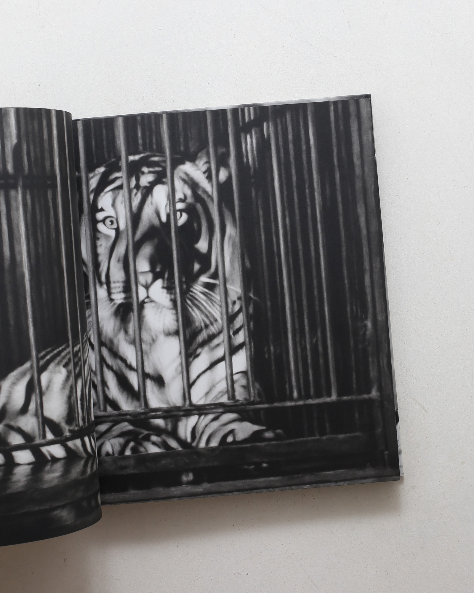 Charcoal | Robert Longo