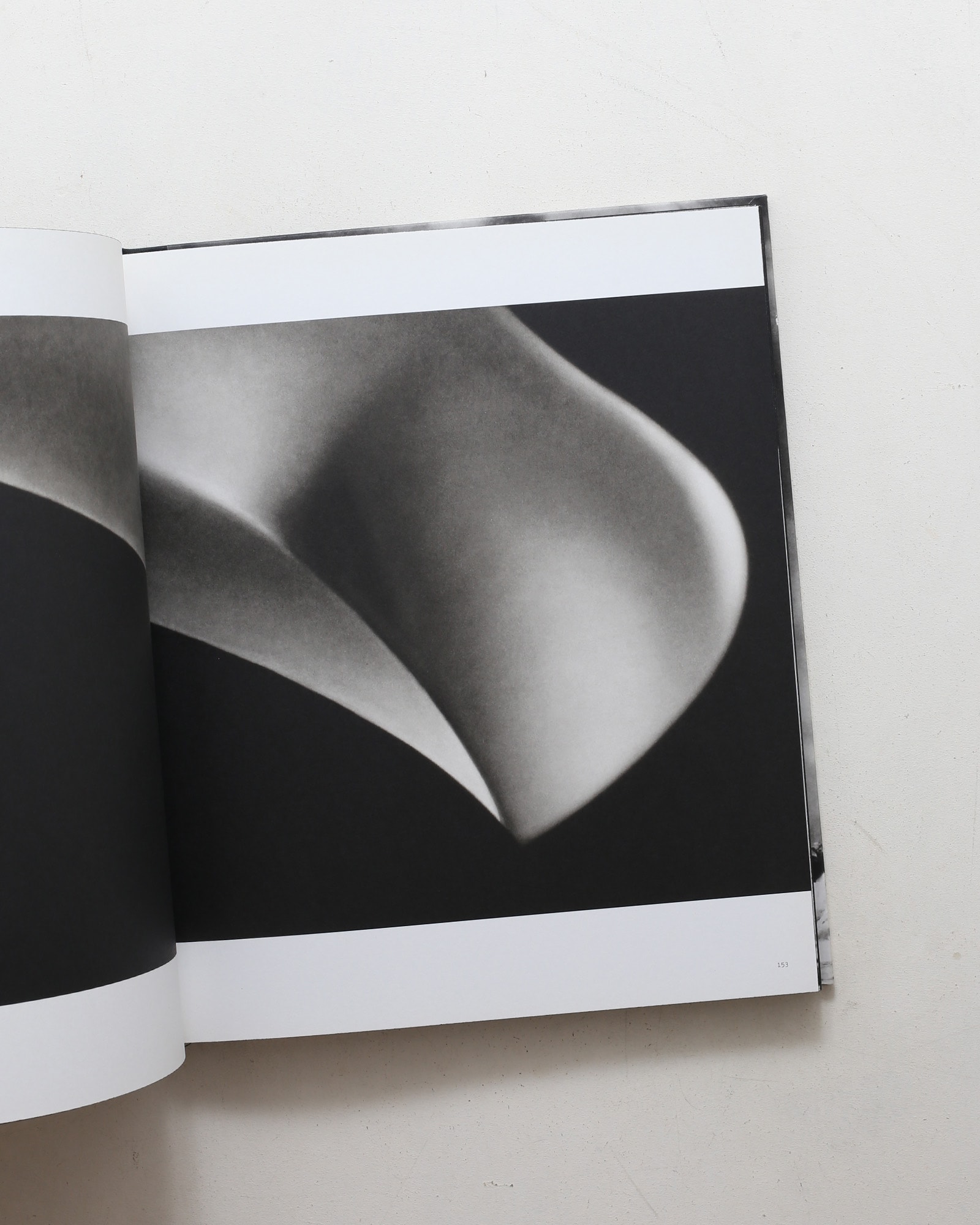 Charcoal | Robert Longo
