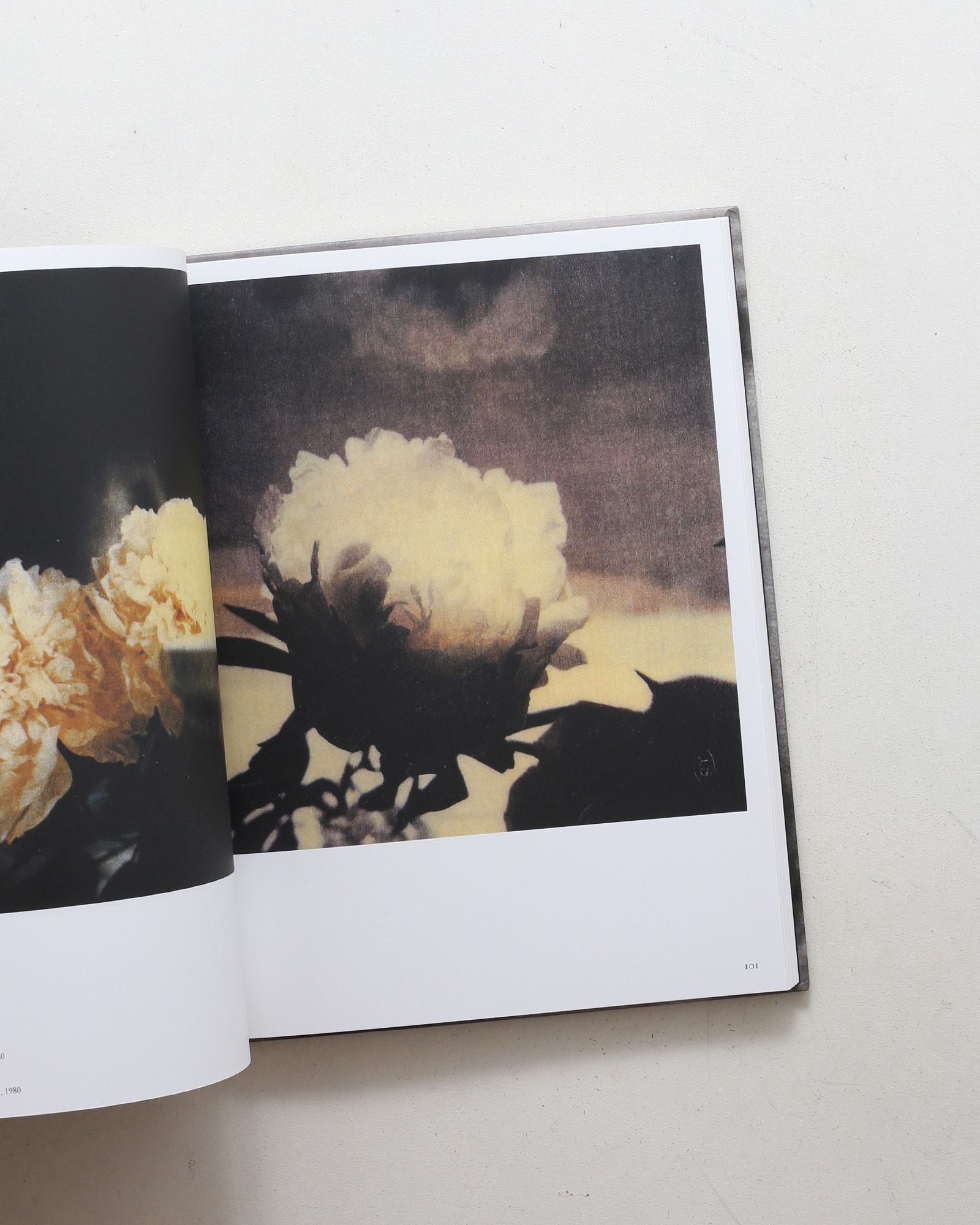 Cy Twombly Photographer, Friends and Others: Le Temps Retrouve（2冊セット）