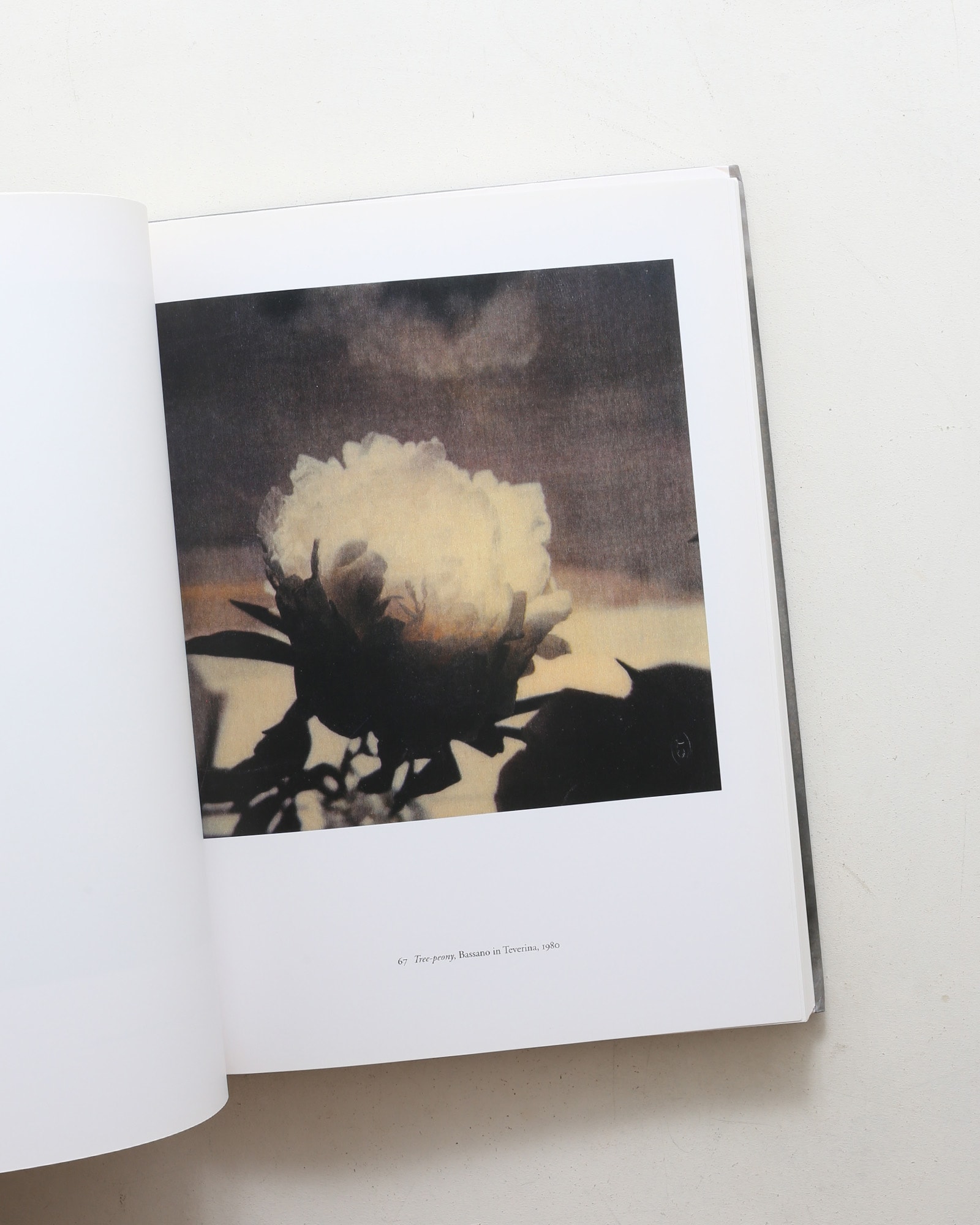 Cy Twombly: Photographs 1951-2007 | nostos books ノストスブックス