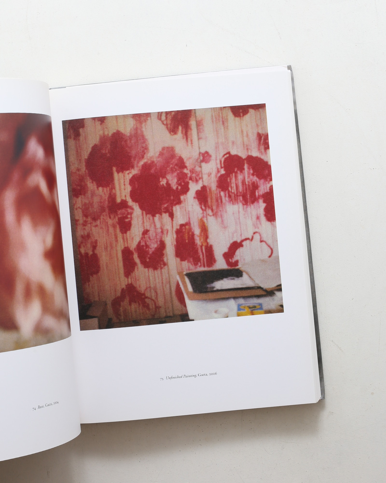 Cy Twombly: Photographs 1951-2007 | nostos books ノストスブックス