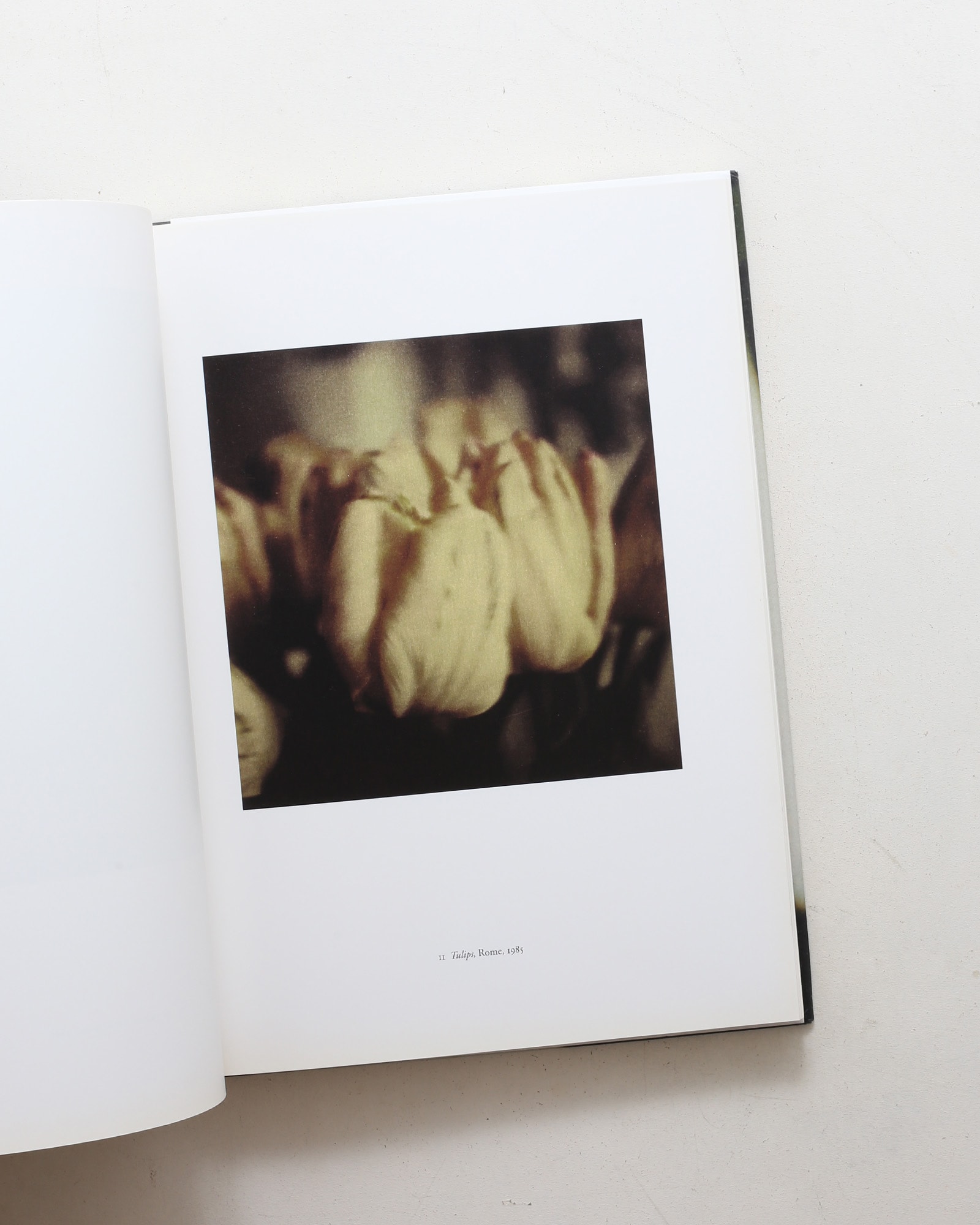 Cy Twombly: Photographs III 1951-2010