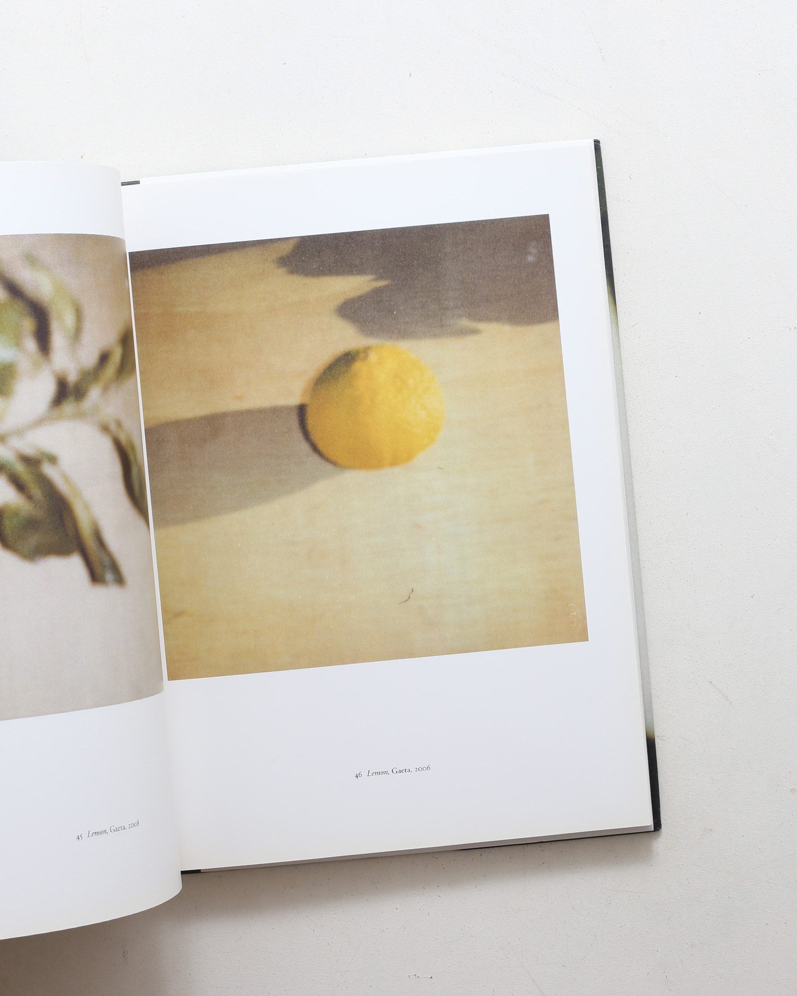 Cy Twombly: Photographs III 1951-2010