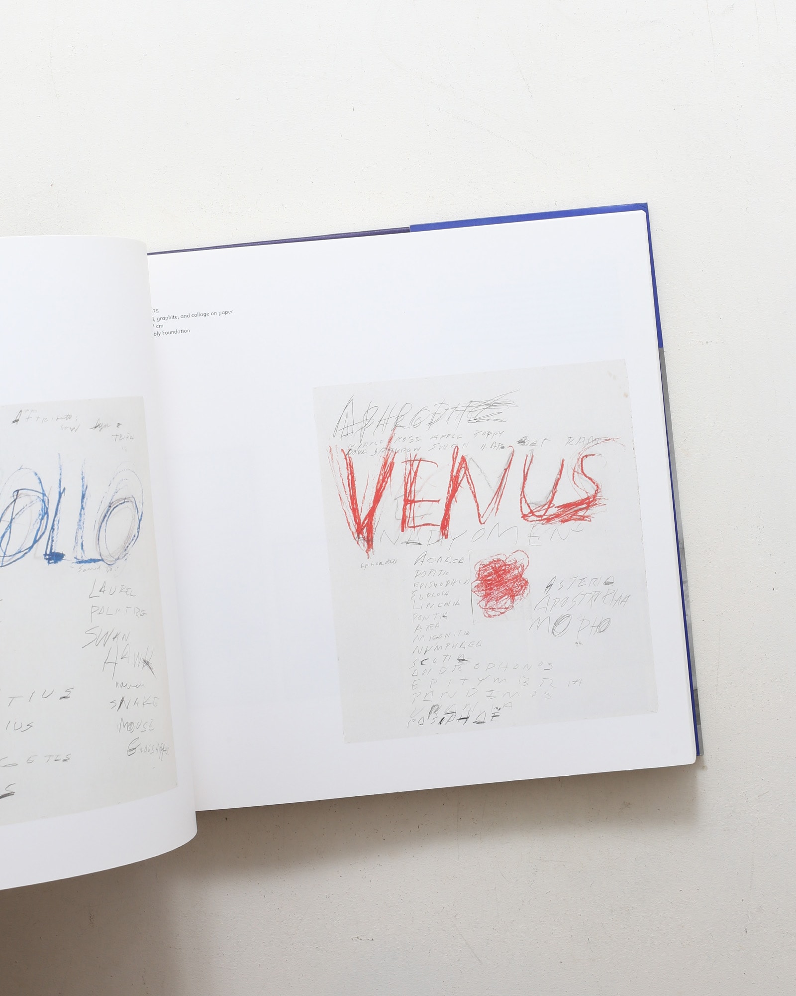 Cy Twombly | Jonas Storsve
