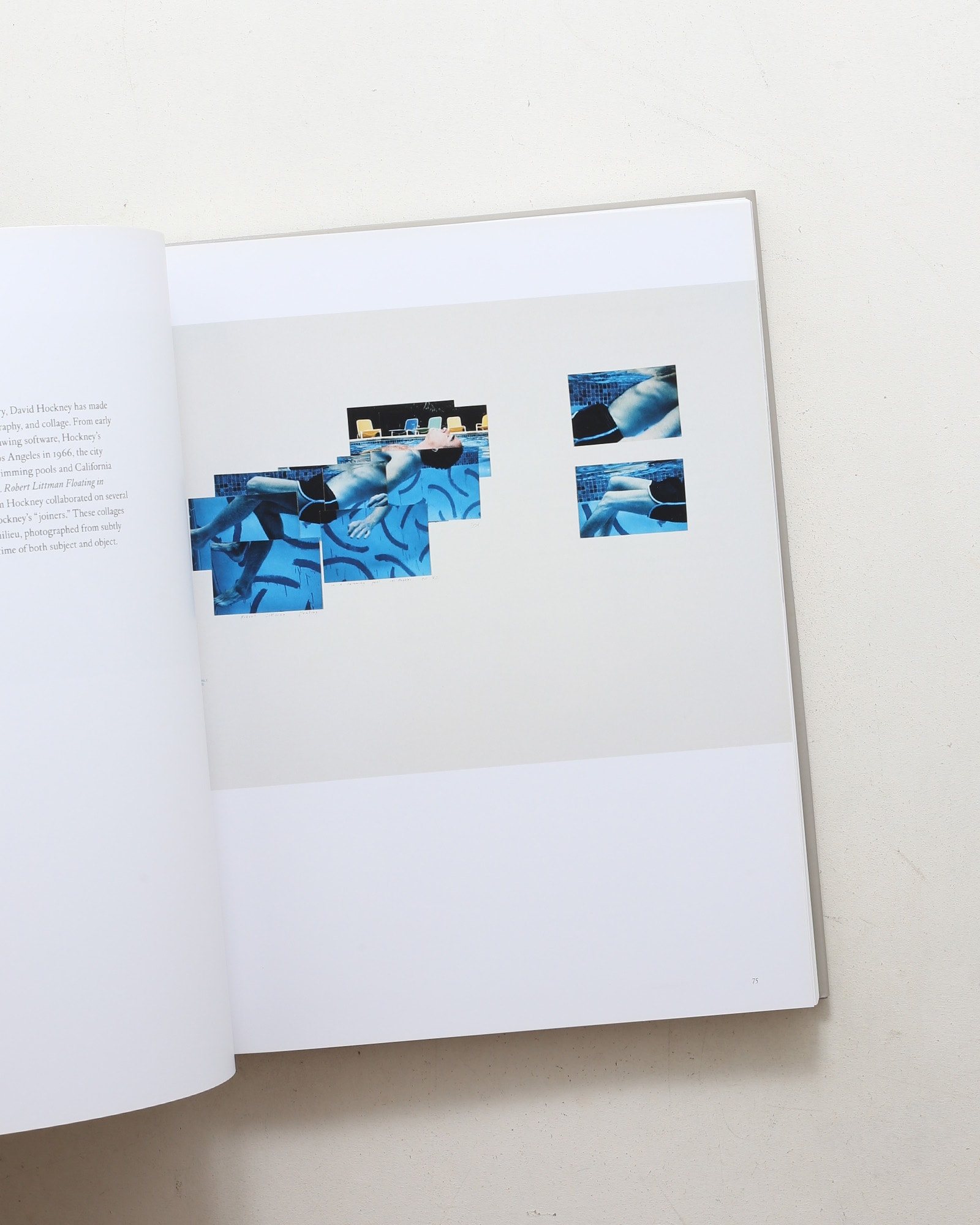Composite Landscapes: Photomontage and Landscape Architecture