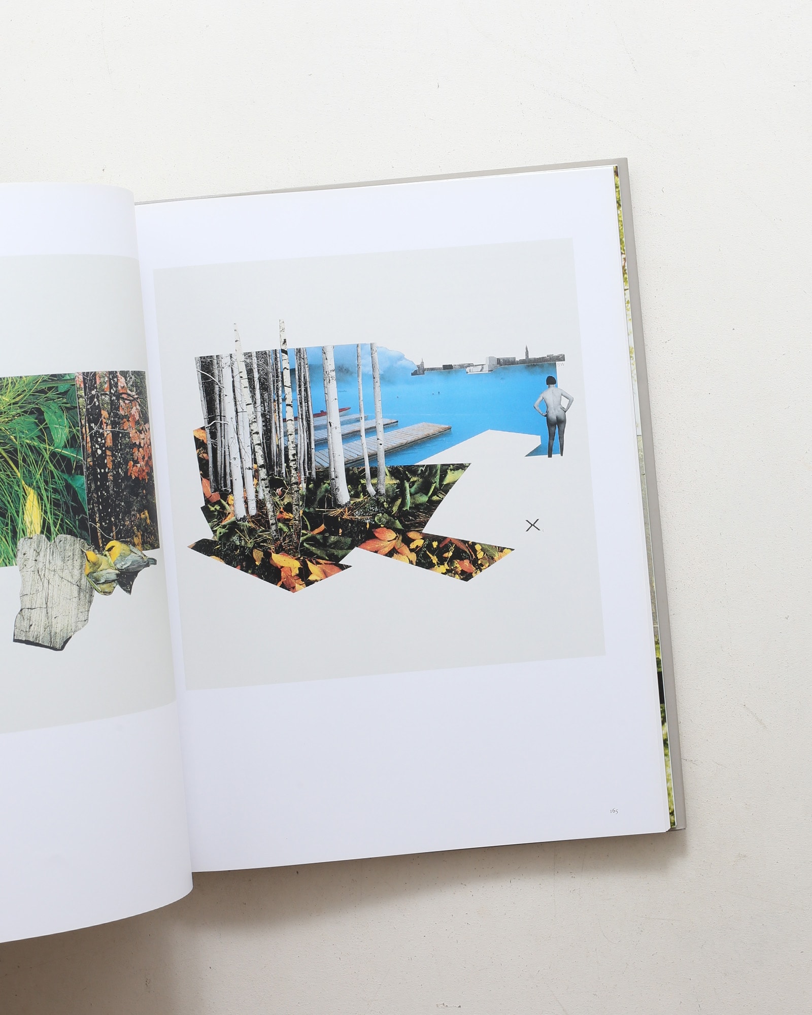 Composite Landscapes: Photomontage and Landscape Architecture