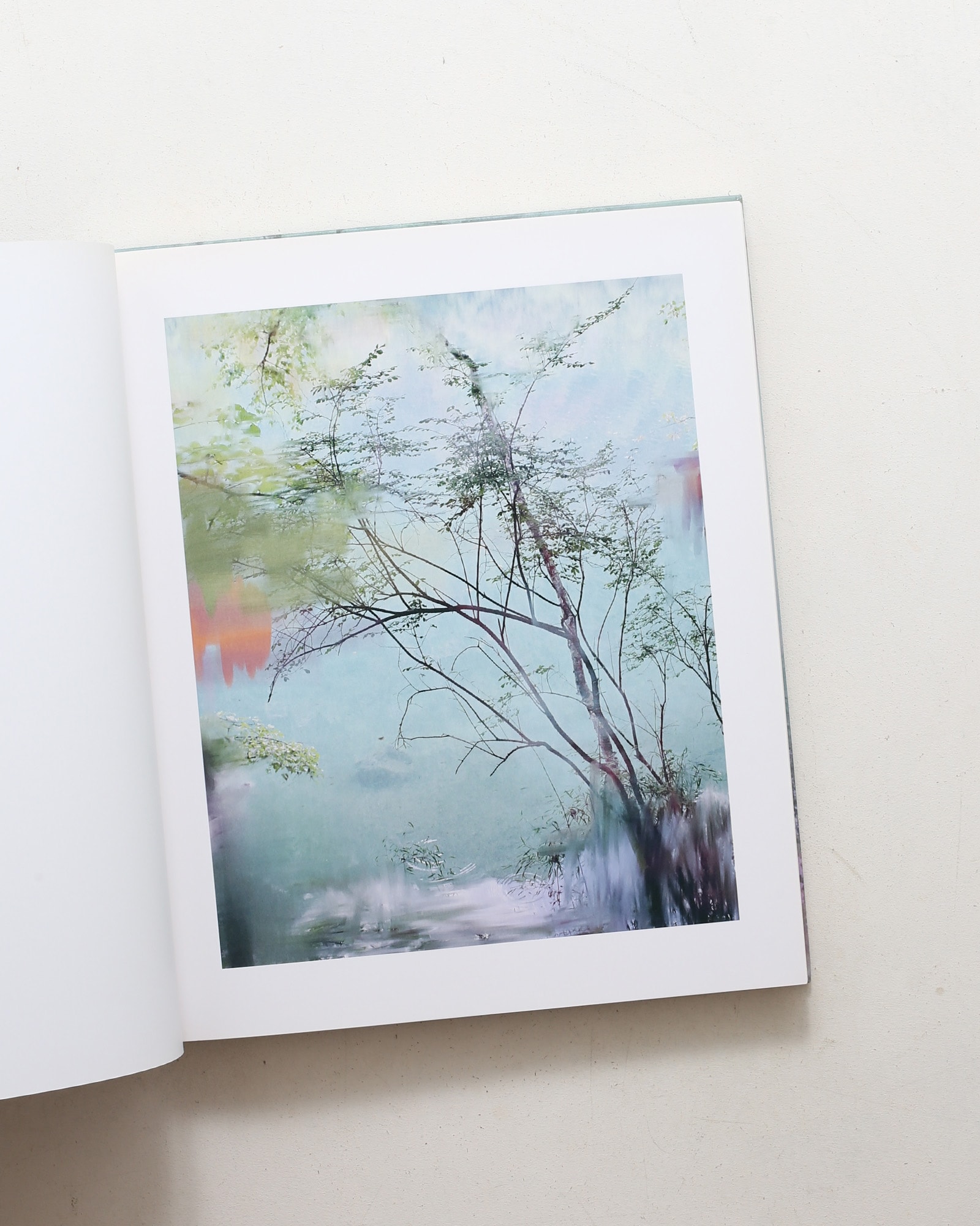 Landscapes | Sandra Kantanen