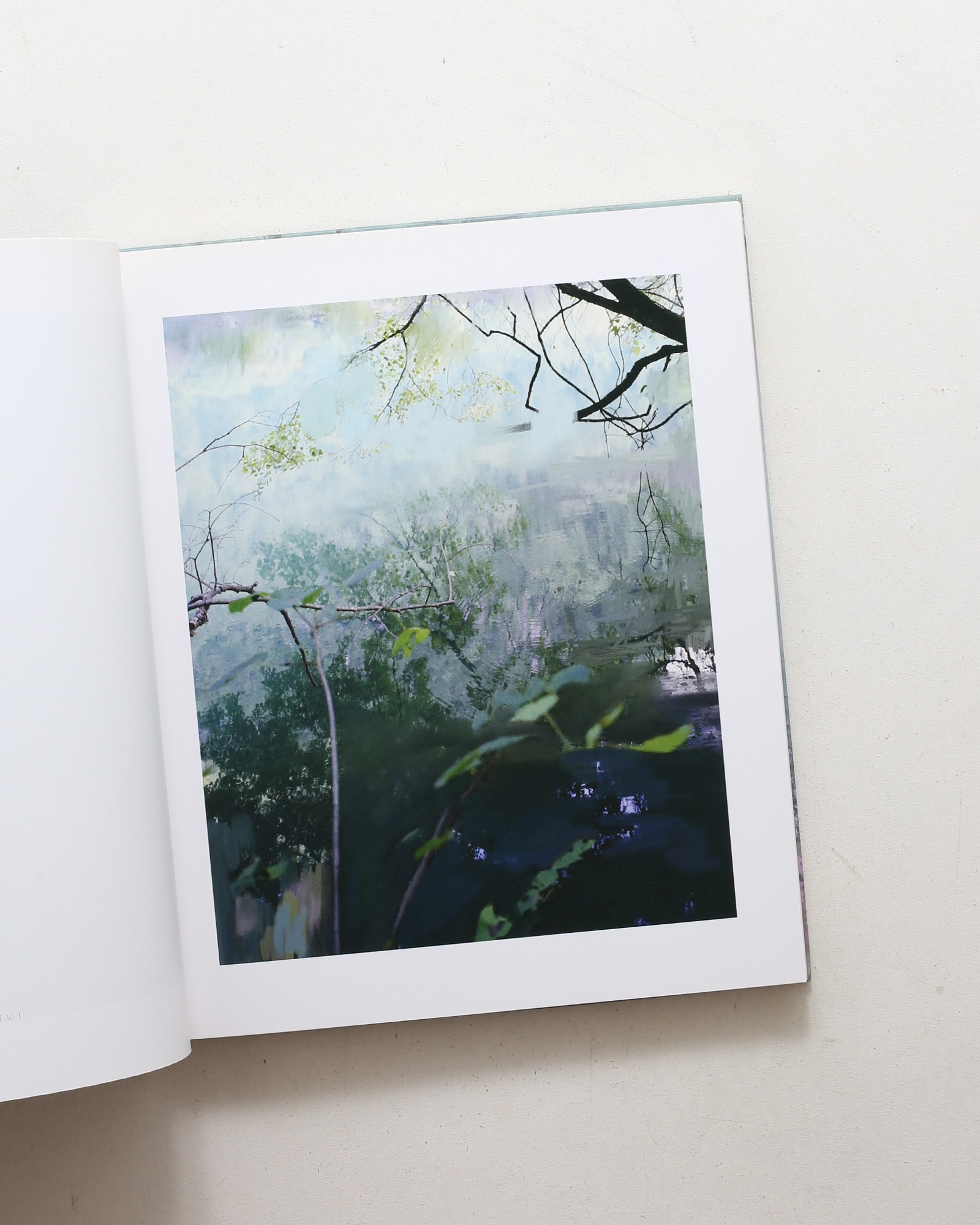 Landscapes | Sandra Kantanen