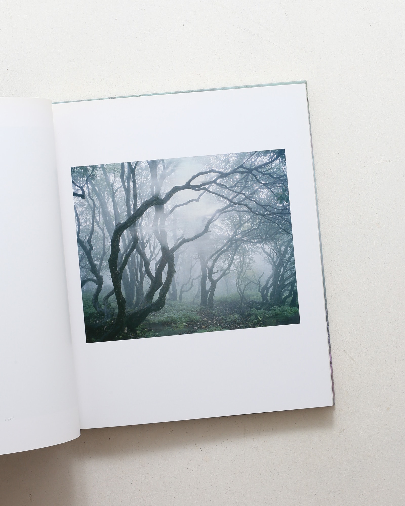 Landscapes | Sandra Kantanen