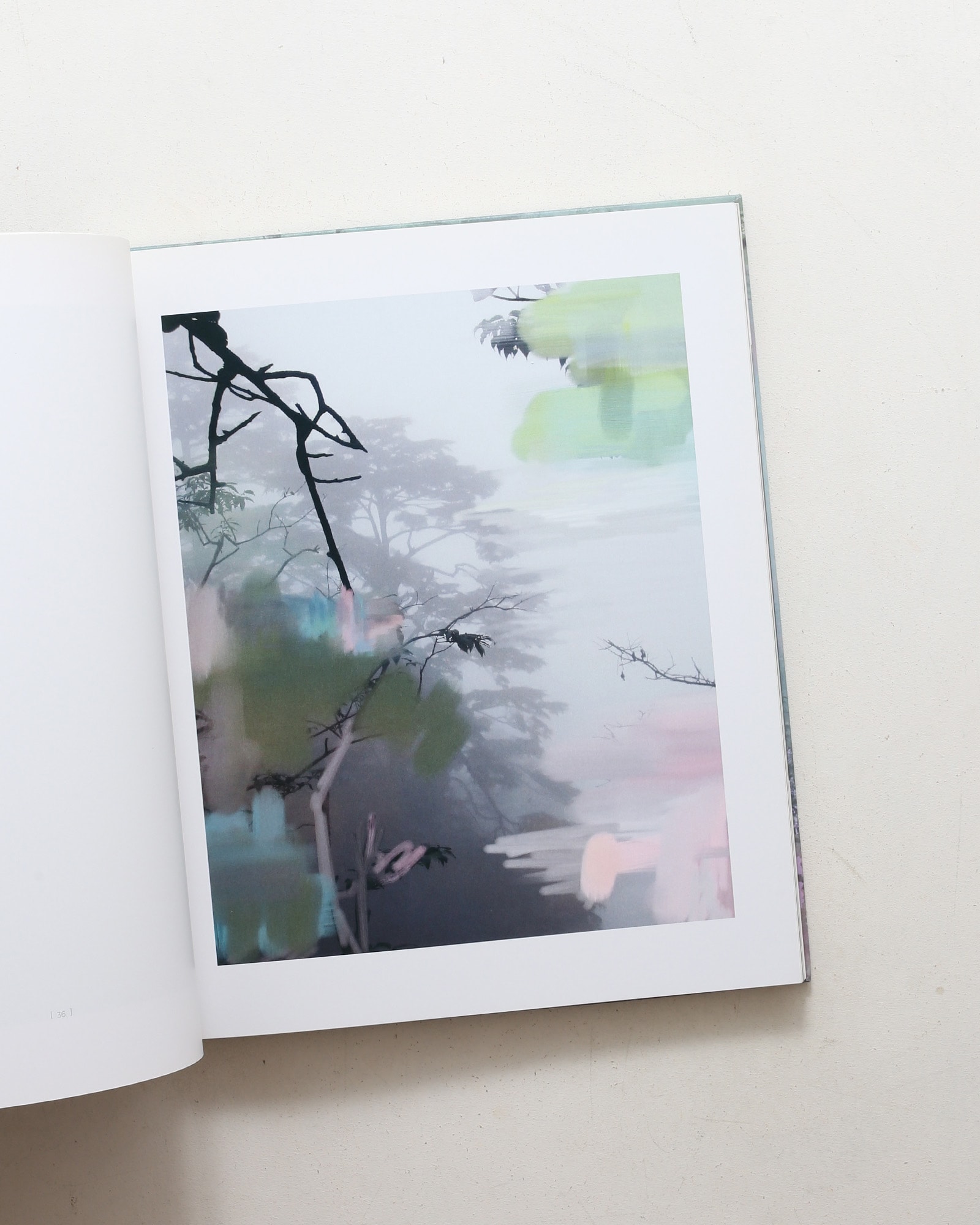 Landscapes | Sandra Kantanen