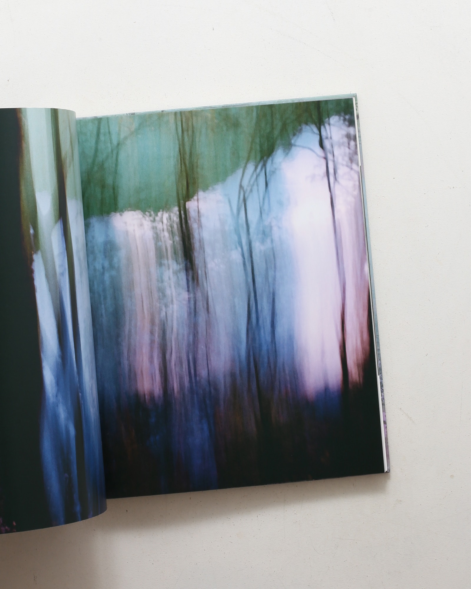 Landscapes | Sandra Kantanen