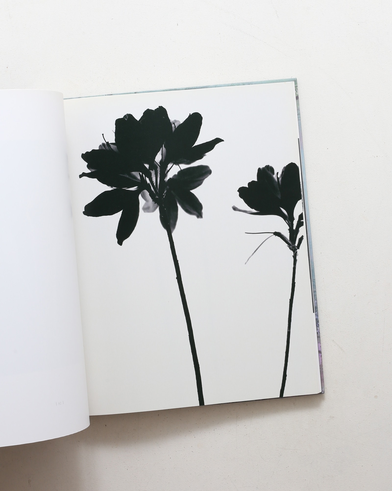 Landscapes | Sandra Kantanen