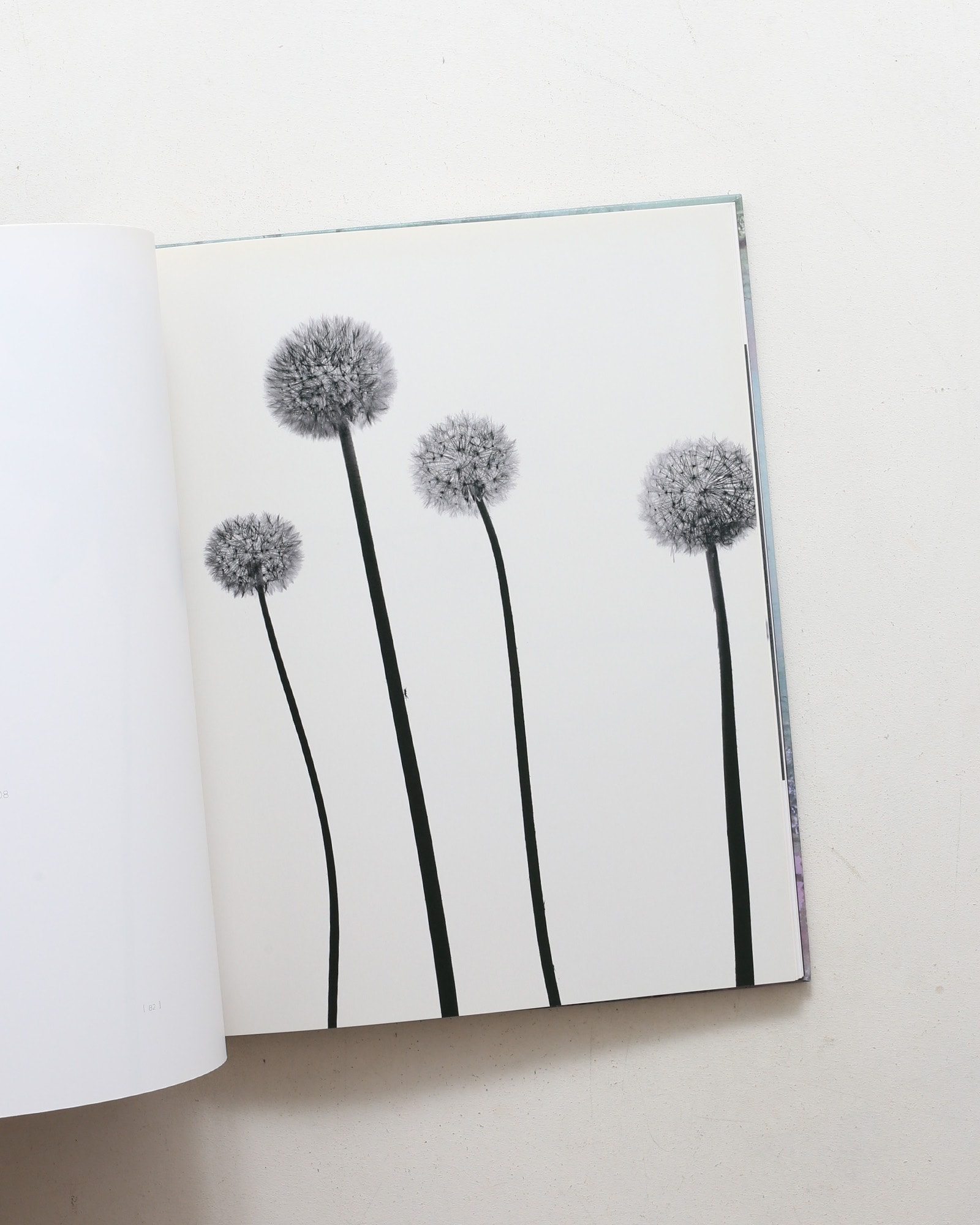 Landscapes | Sandra Kantanen