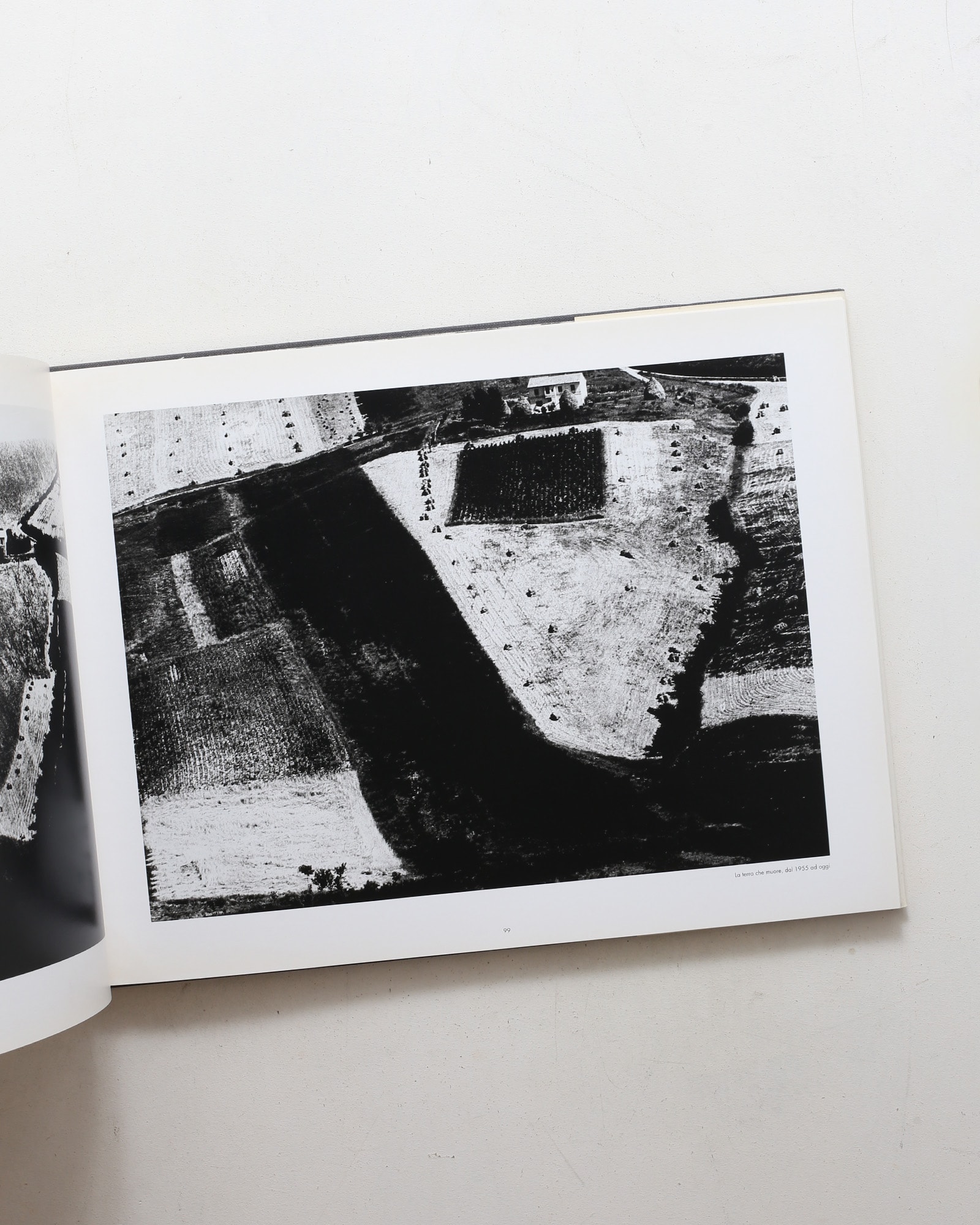 Mario Giacomelli