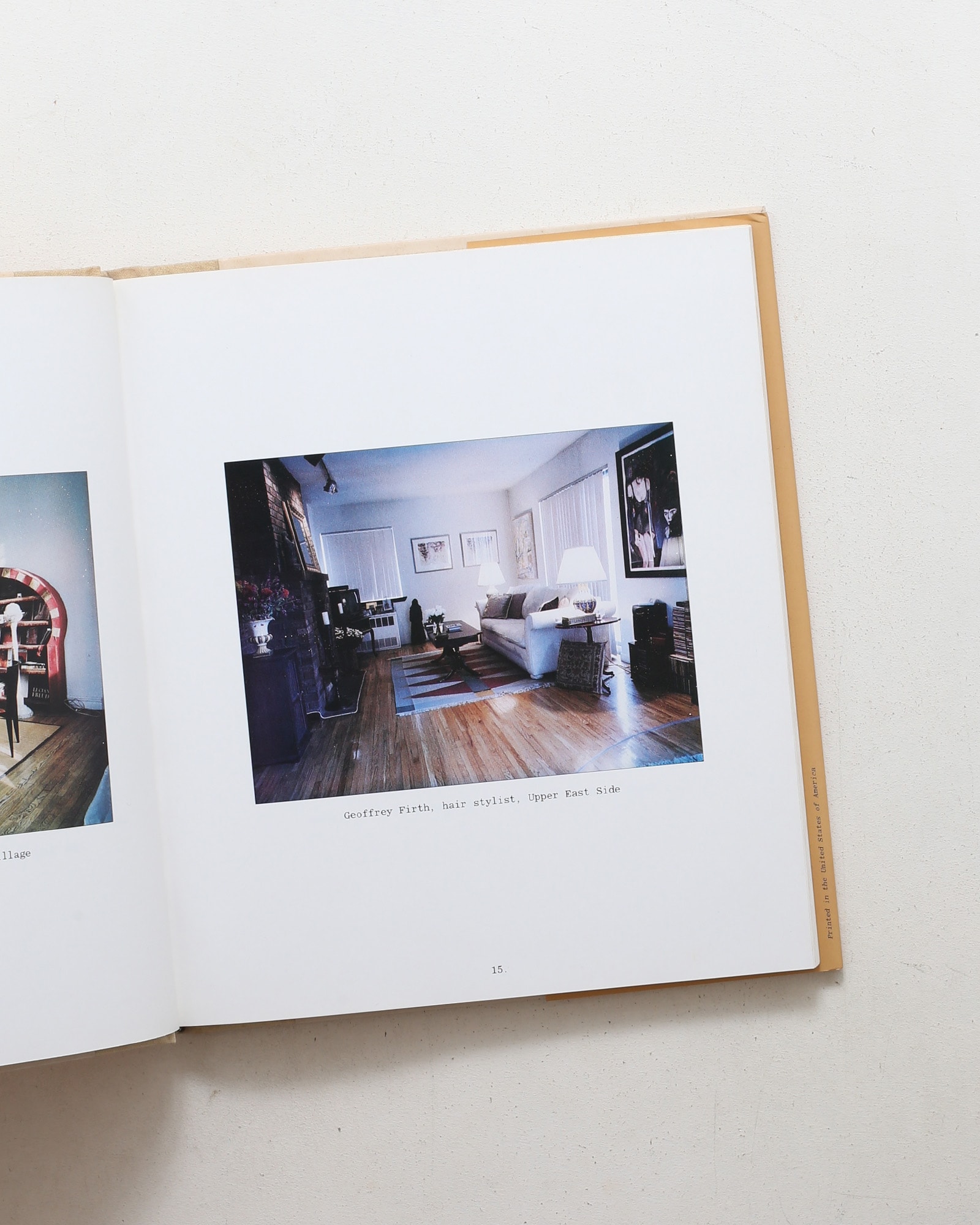 New York Living Rooms | Dominique Nabokov