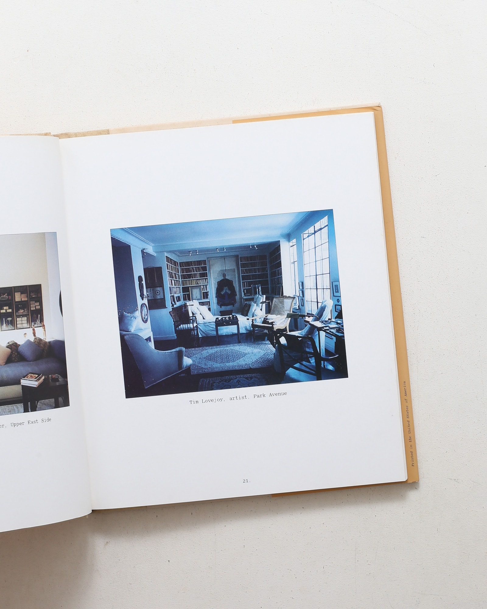 New York Living Rooms | Dominique Nabokov