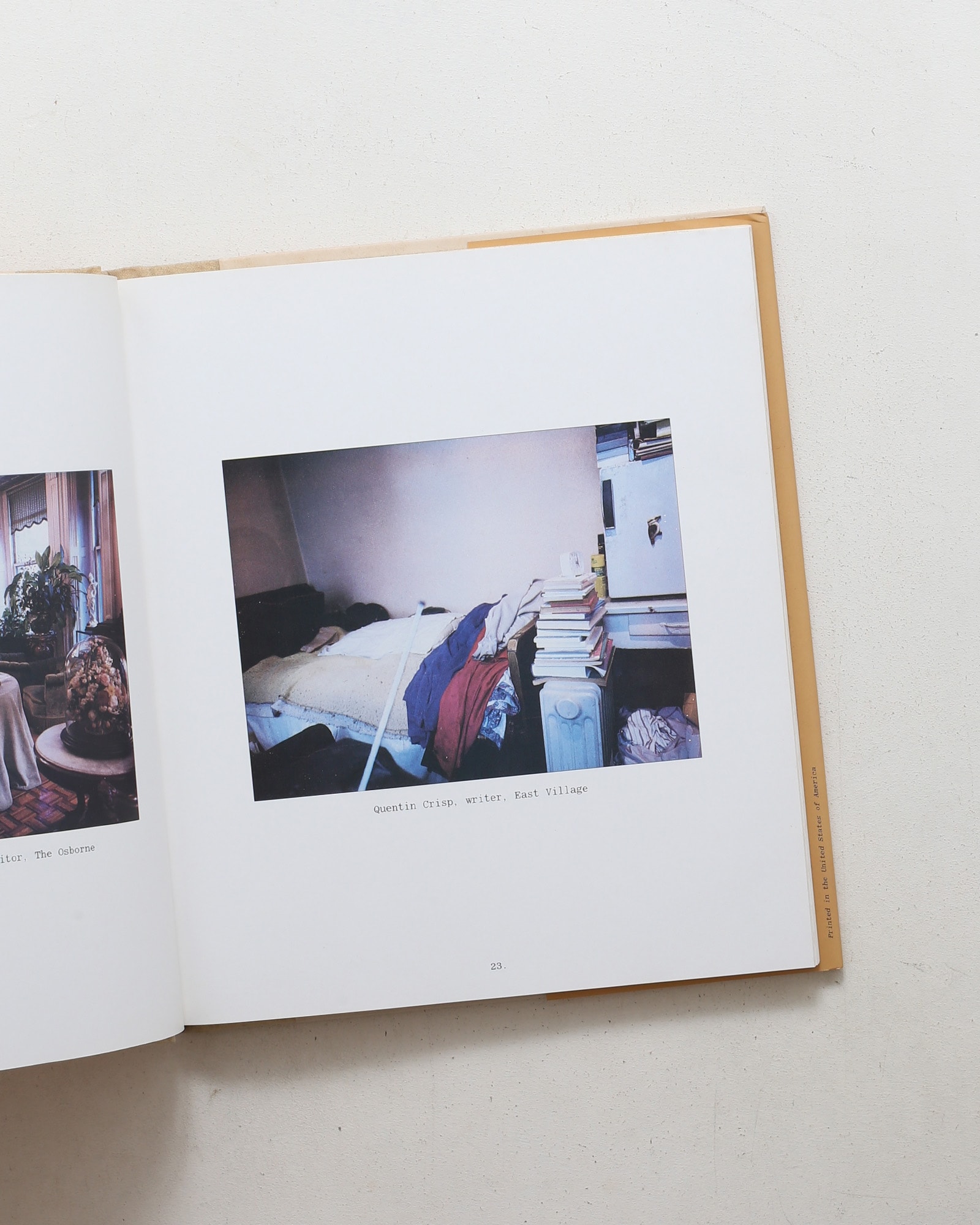 New York Living Rooms | Dominique Nabokov