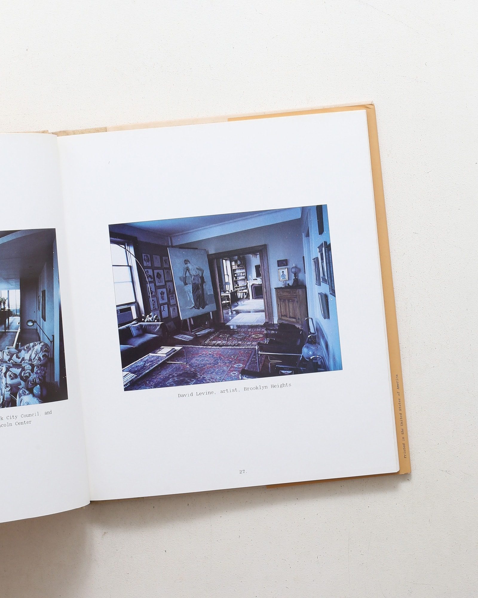 New York Living Rooms | Dominique Nabokov