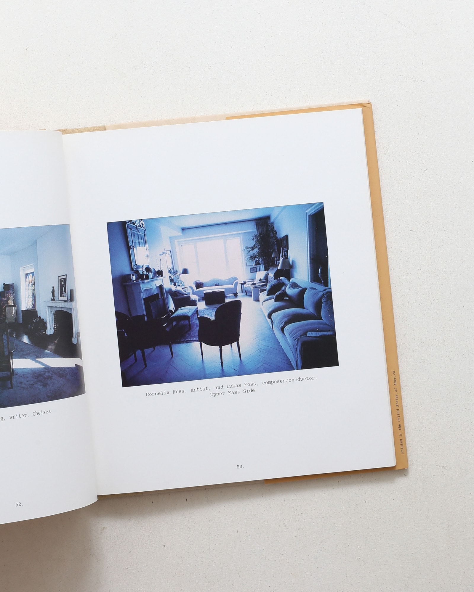 New York Living Rooms | Dominique Nabokov