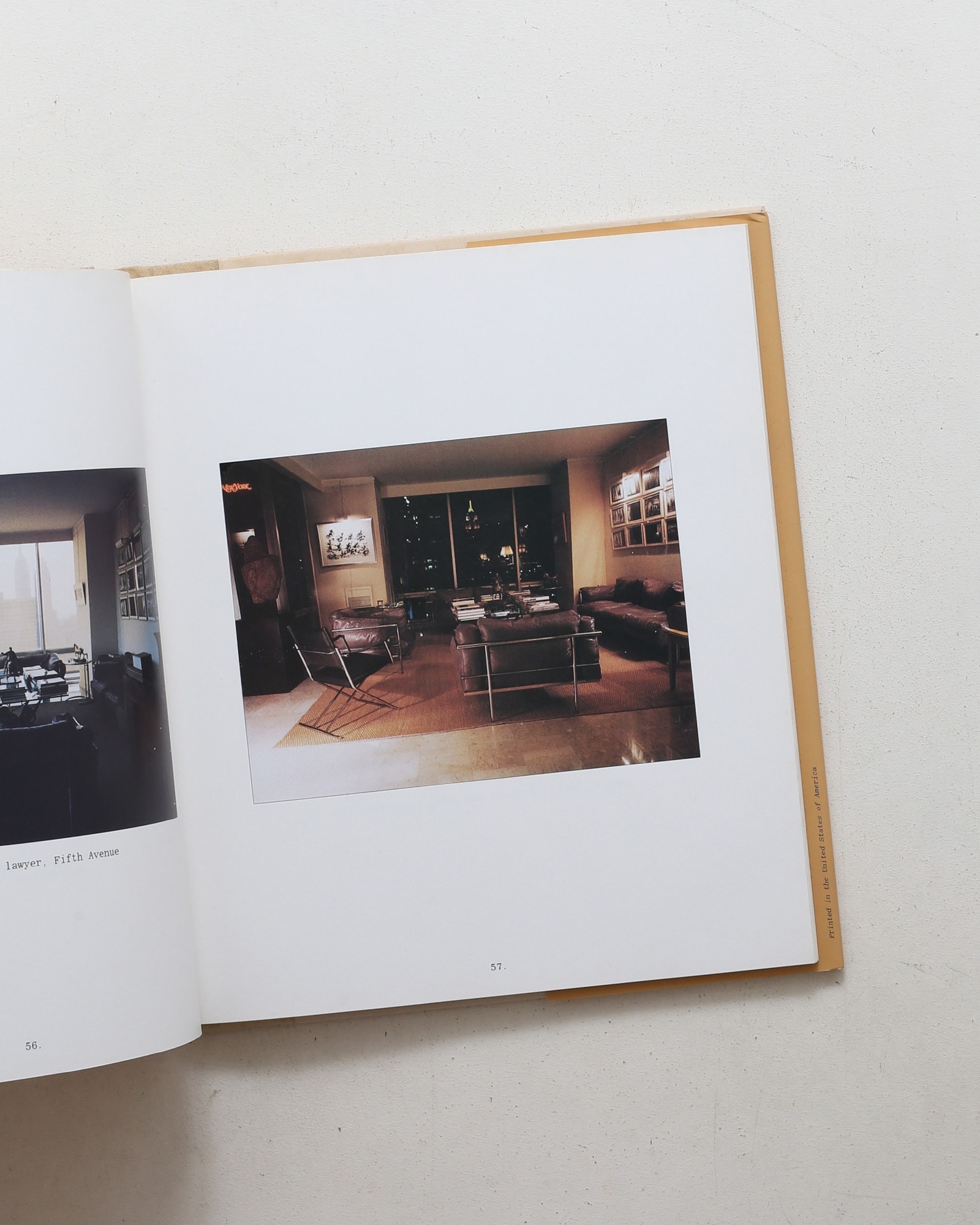 New York Living Rooms | Dominique Nabokov