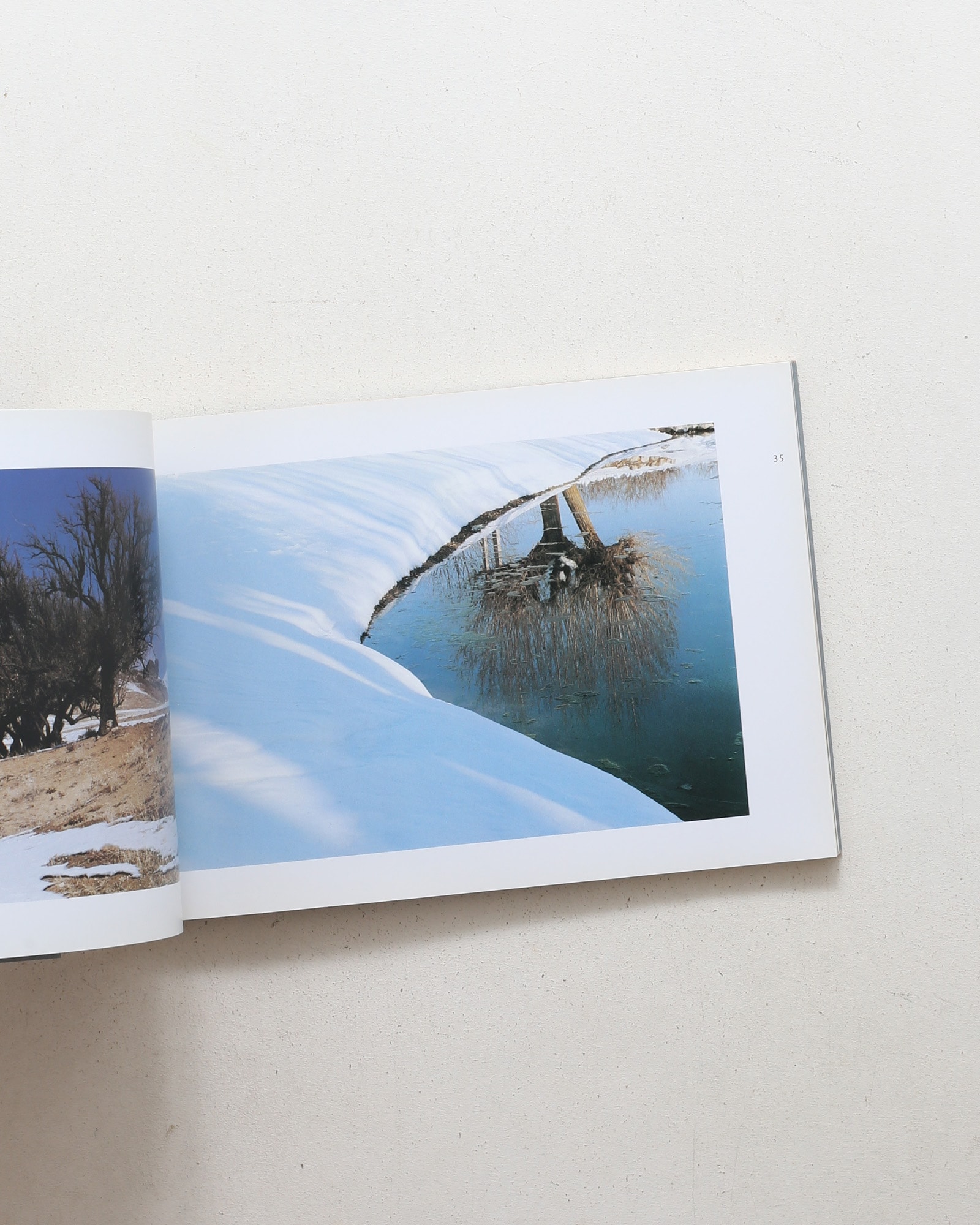 Abbas Kiarostami: Photographs