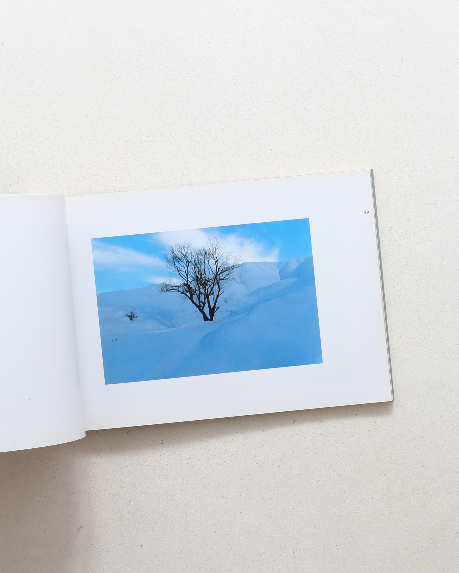 Abbas Kiarostami: Photographs