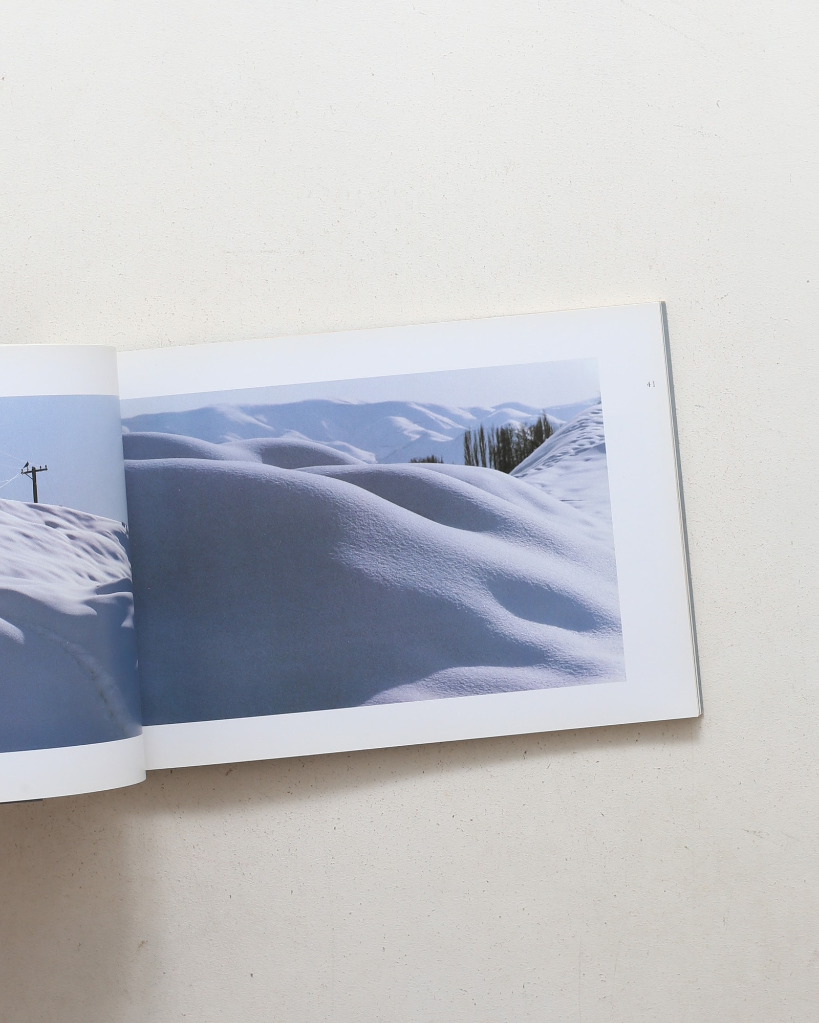 Abbas Kiarostami: Photographs