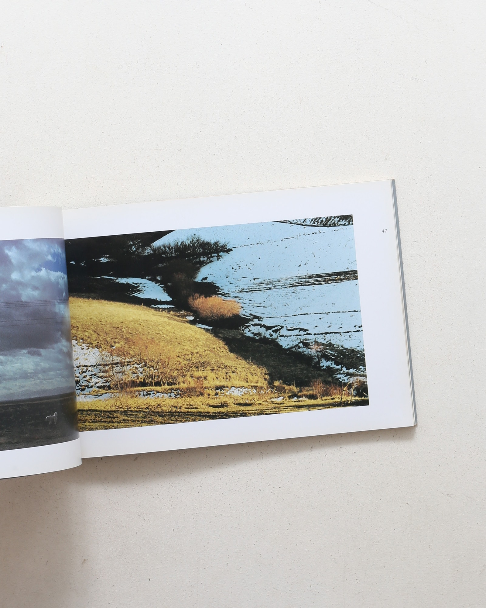 Abbas Kiarostami: Photographs