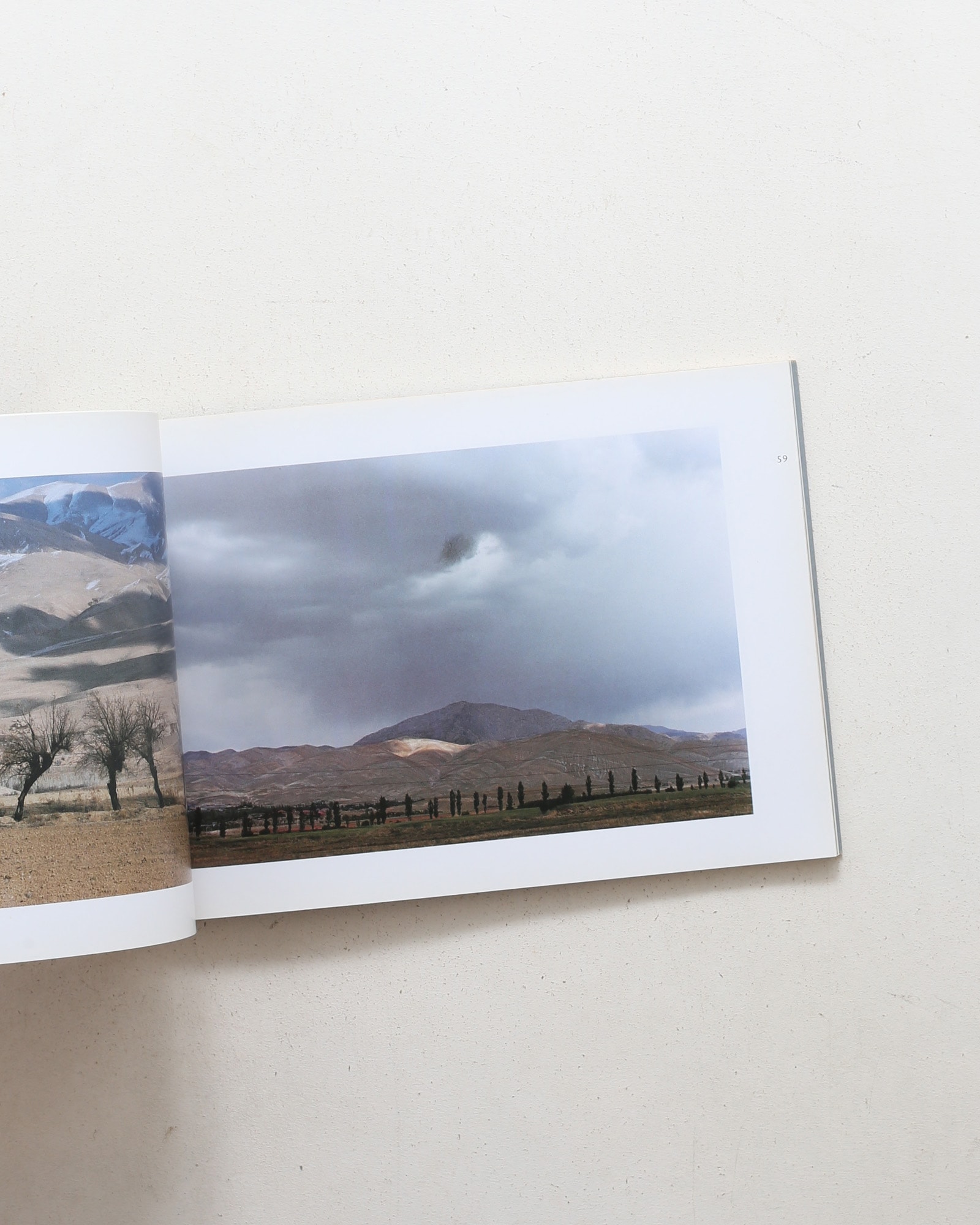 Abbas Kiarostami: Photographs