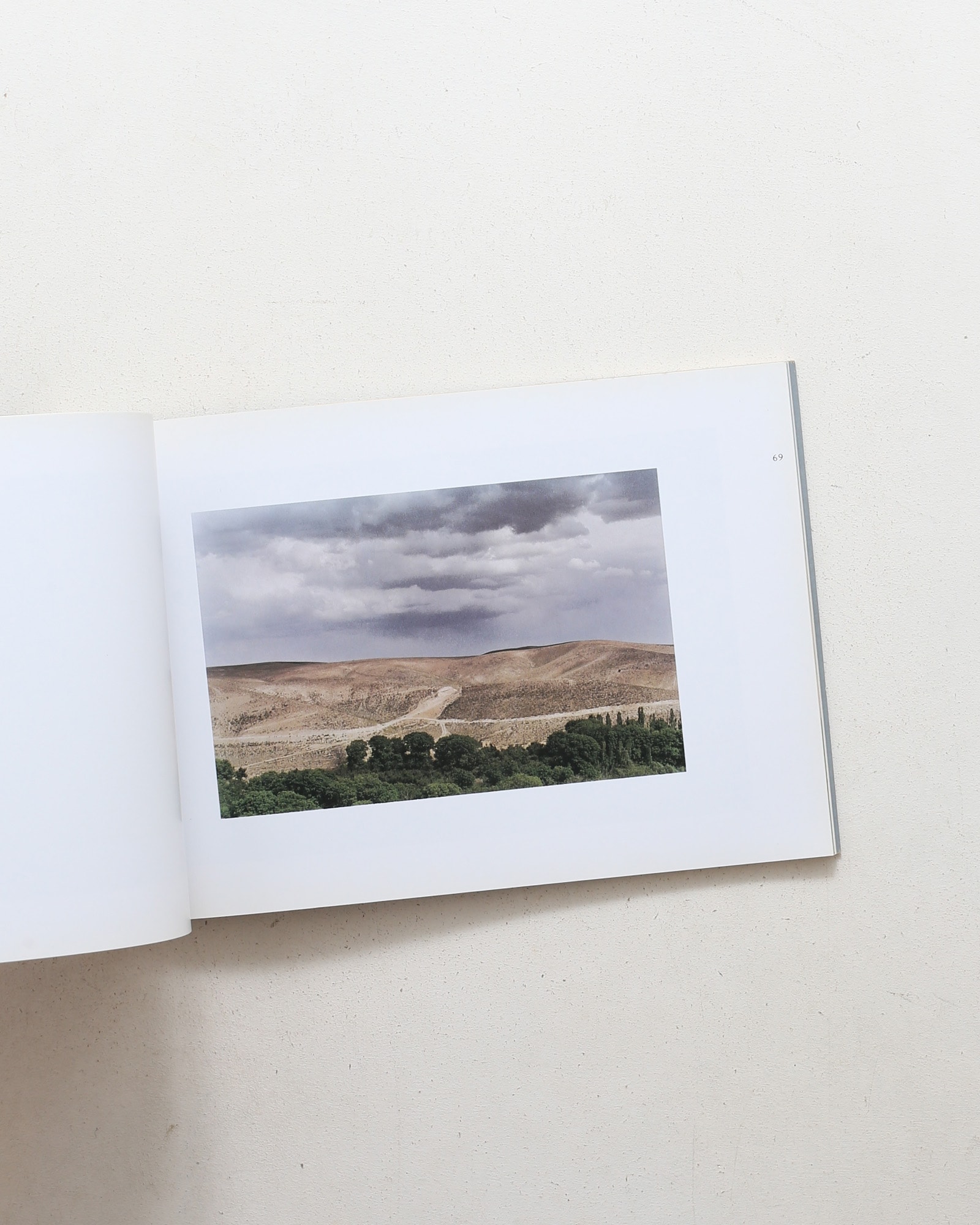 Abbas Kiarostami: Photographs