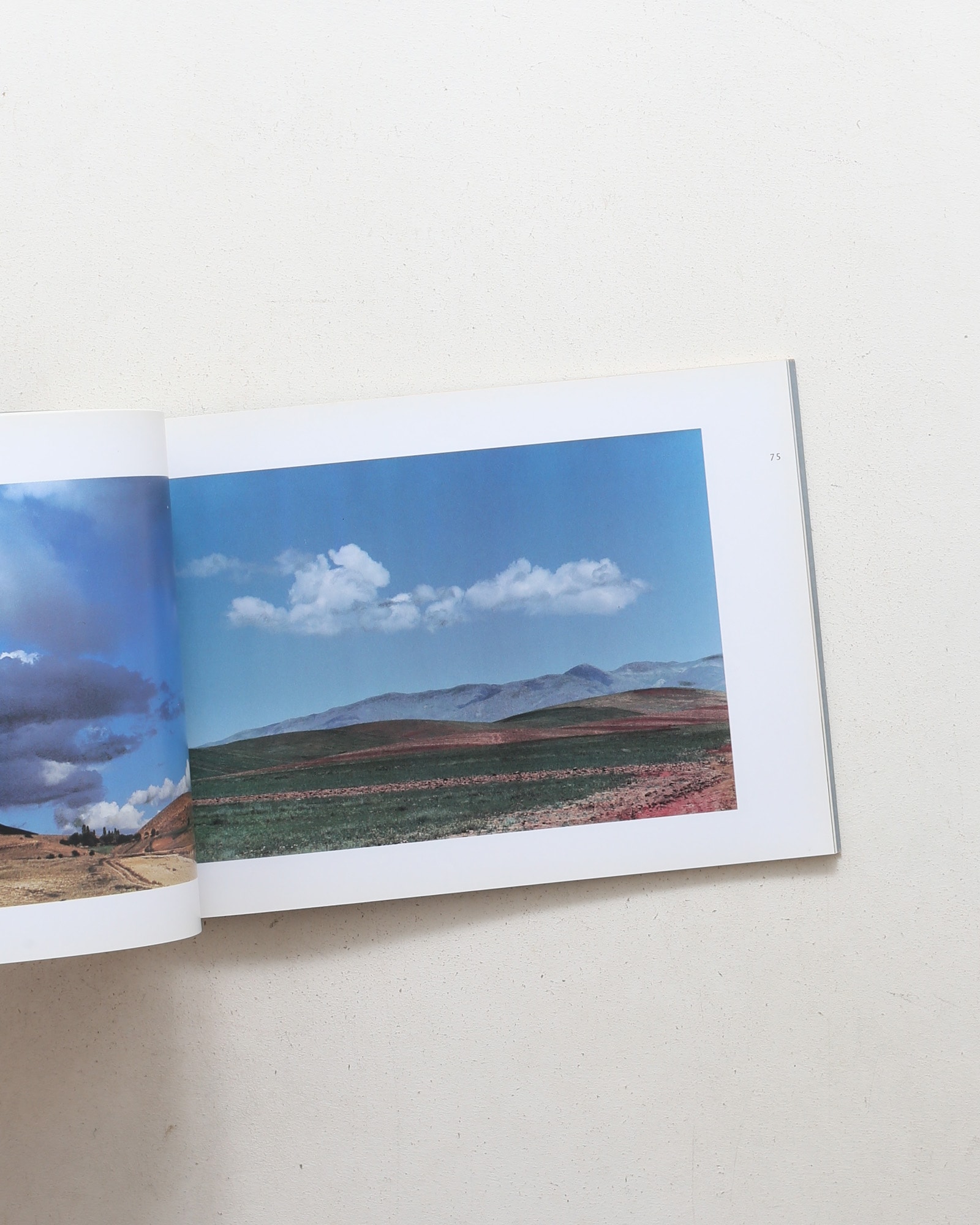 Abbas Kiarostami: Photographs