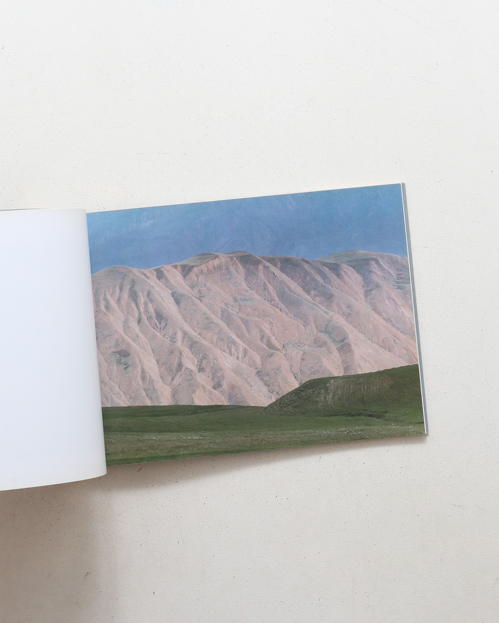 Abbas Kiarostami: Photographs