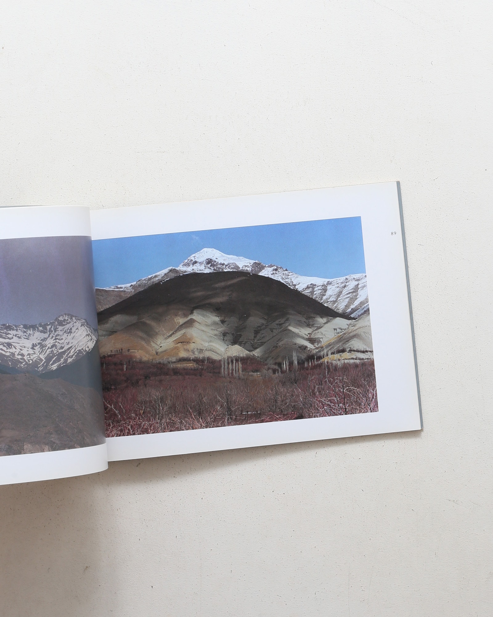 Abbas Kiarostami: Photographs