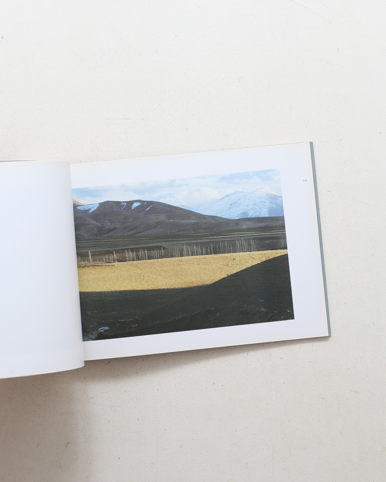 Abbas Kiarostami: Photographs